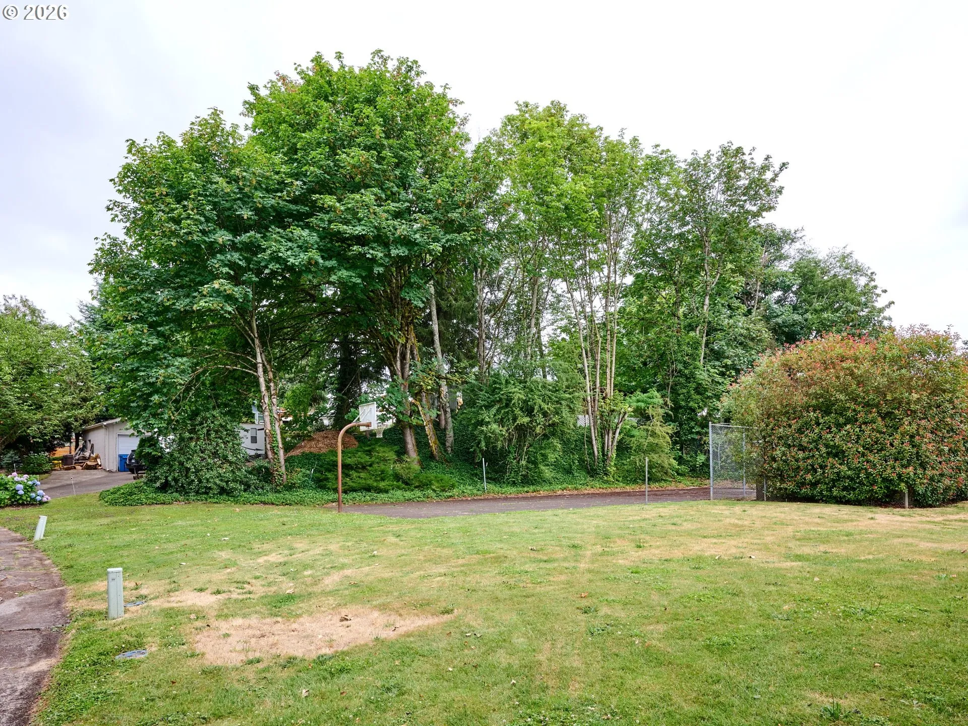 Community Park
