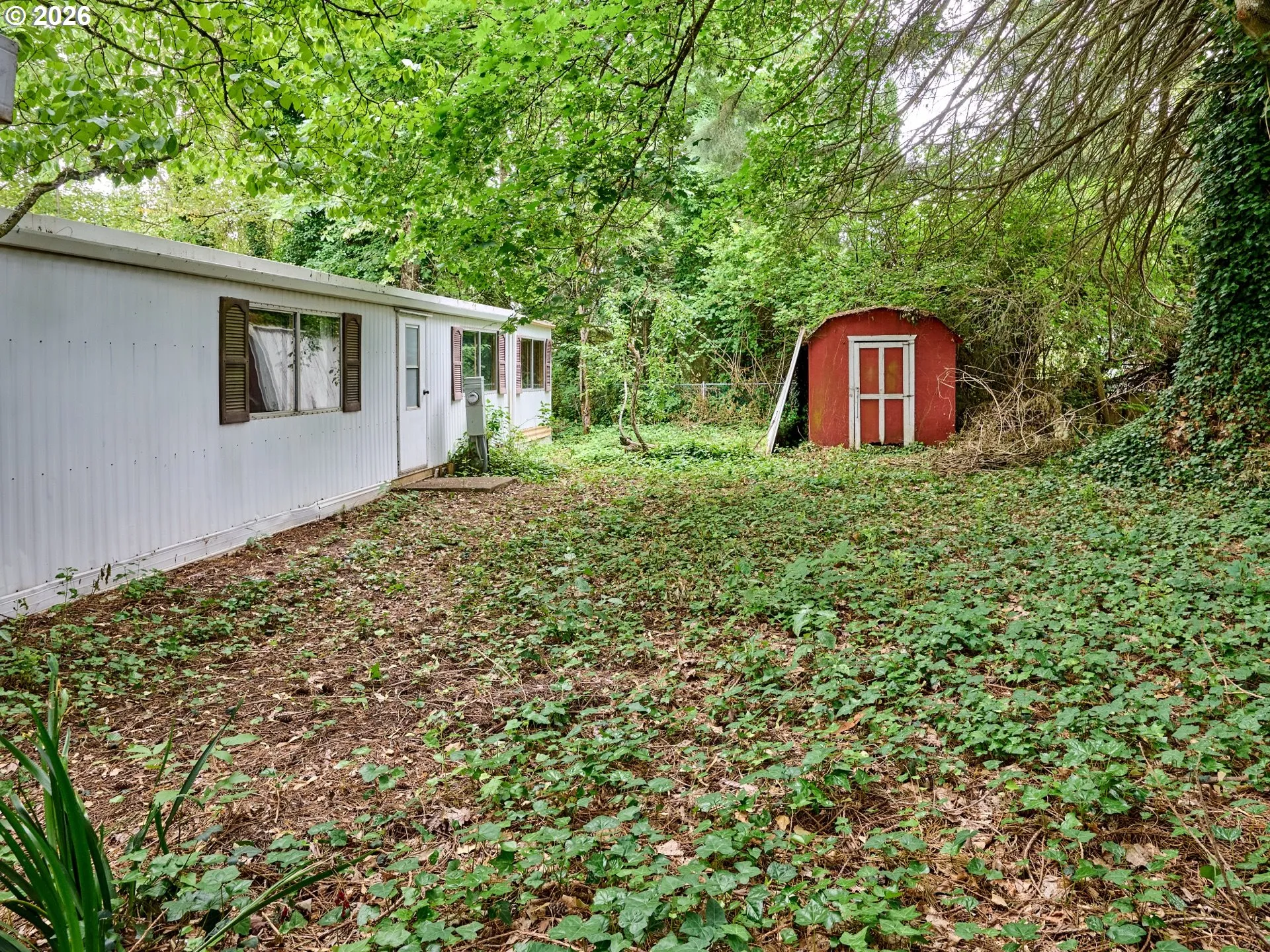 Shed