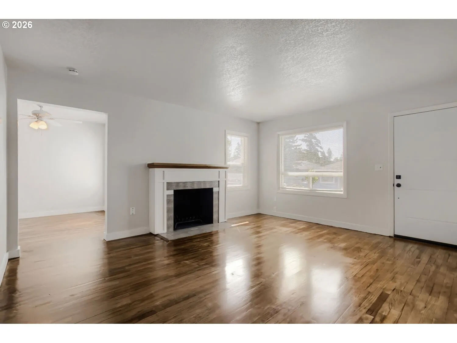 Living Room/Entrance
