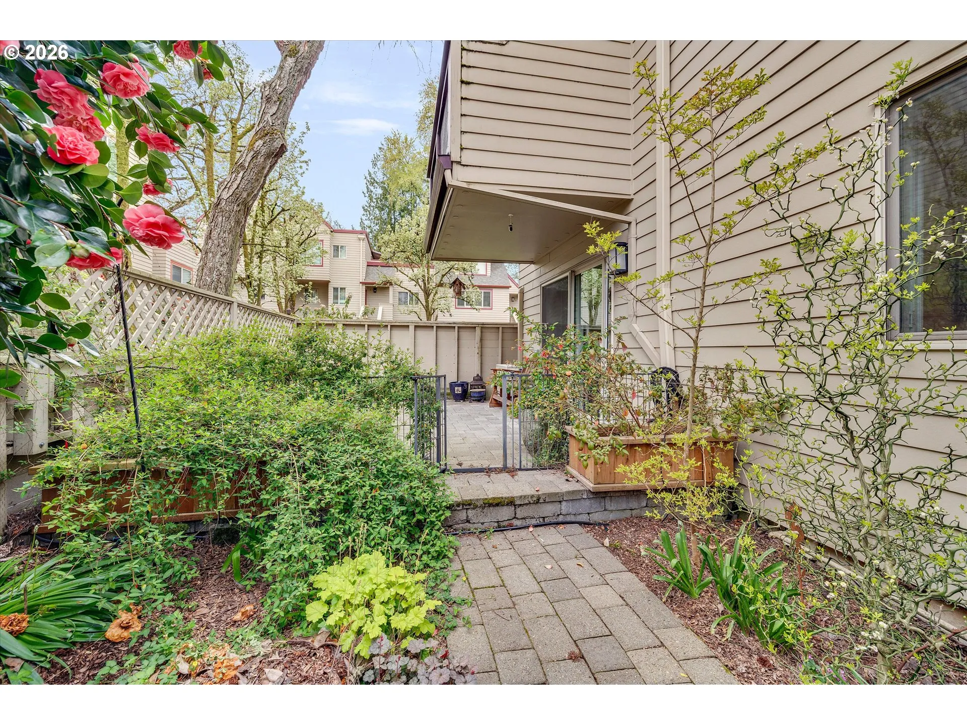 Patio-Backyard