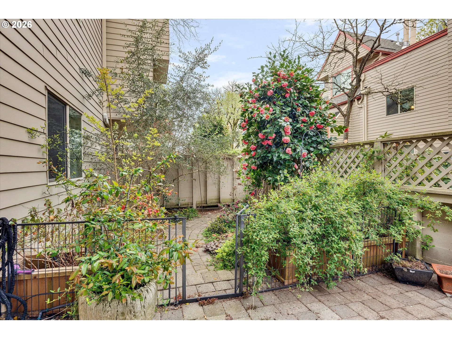 Patio-Backyard