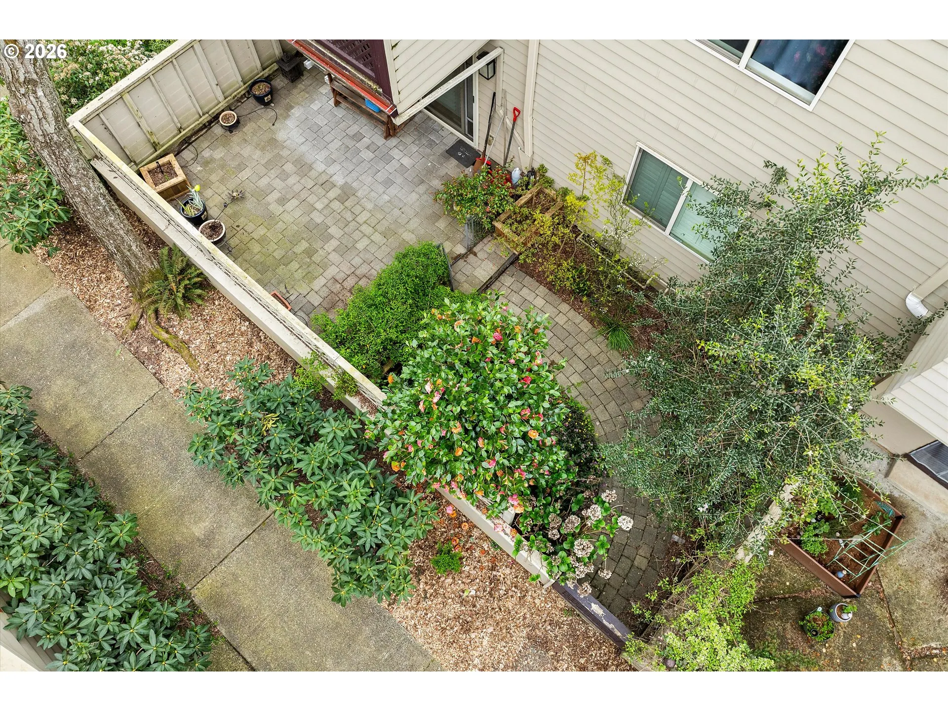 Backyard-Fenced