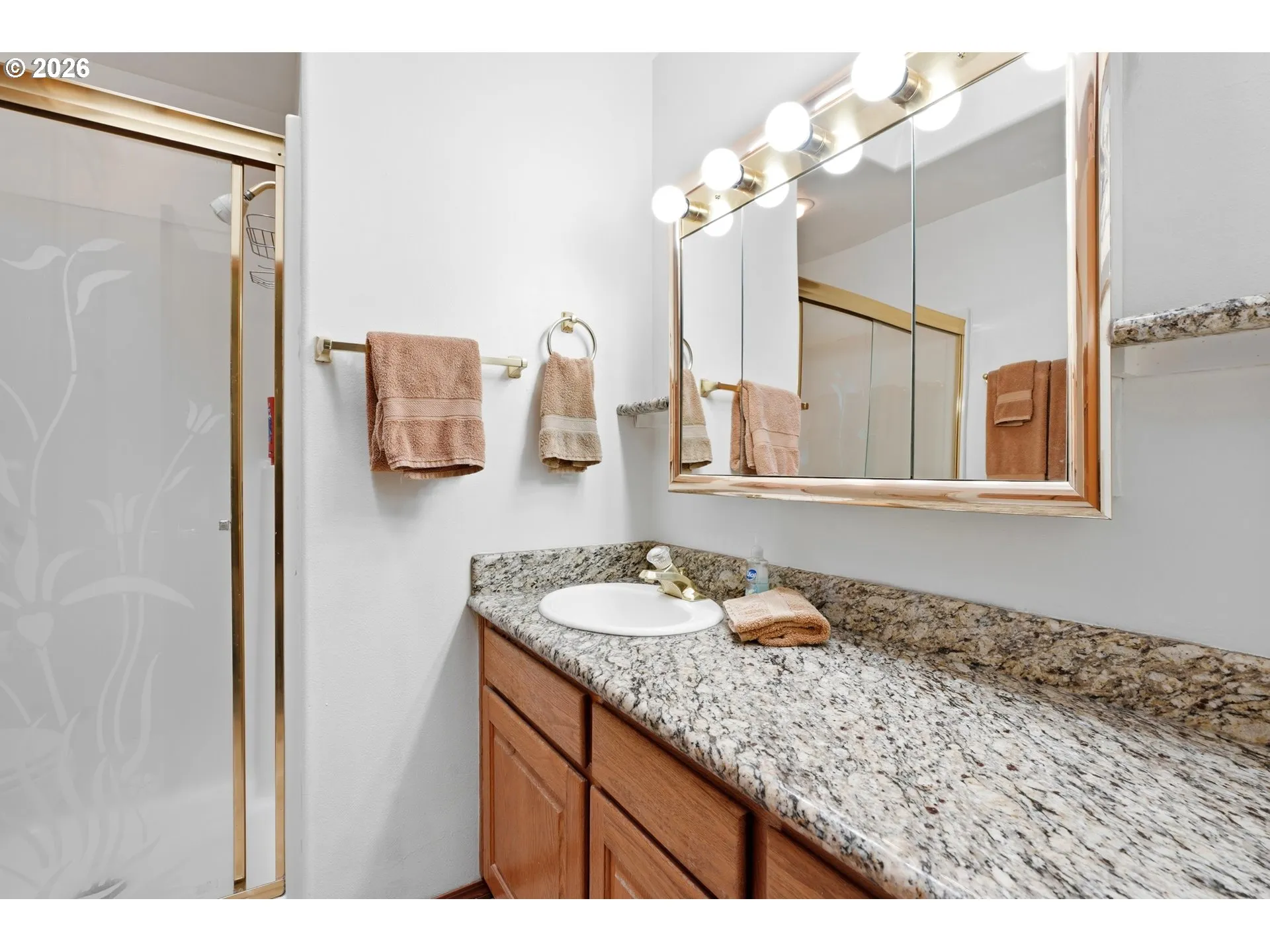 Owner's Suite Bathroom-Walk in Shower