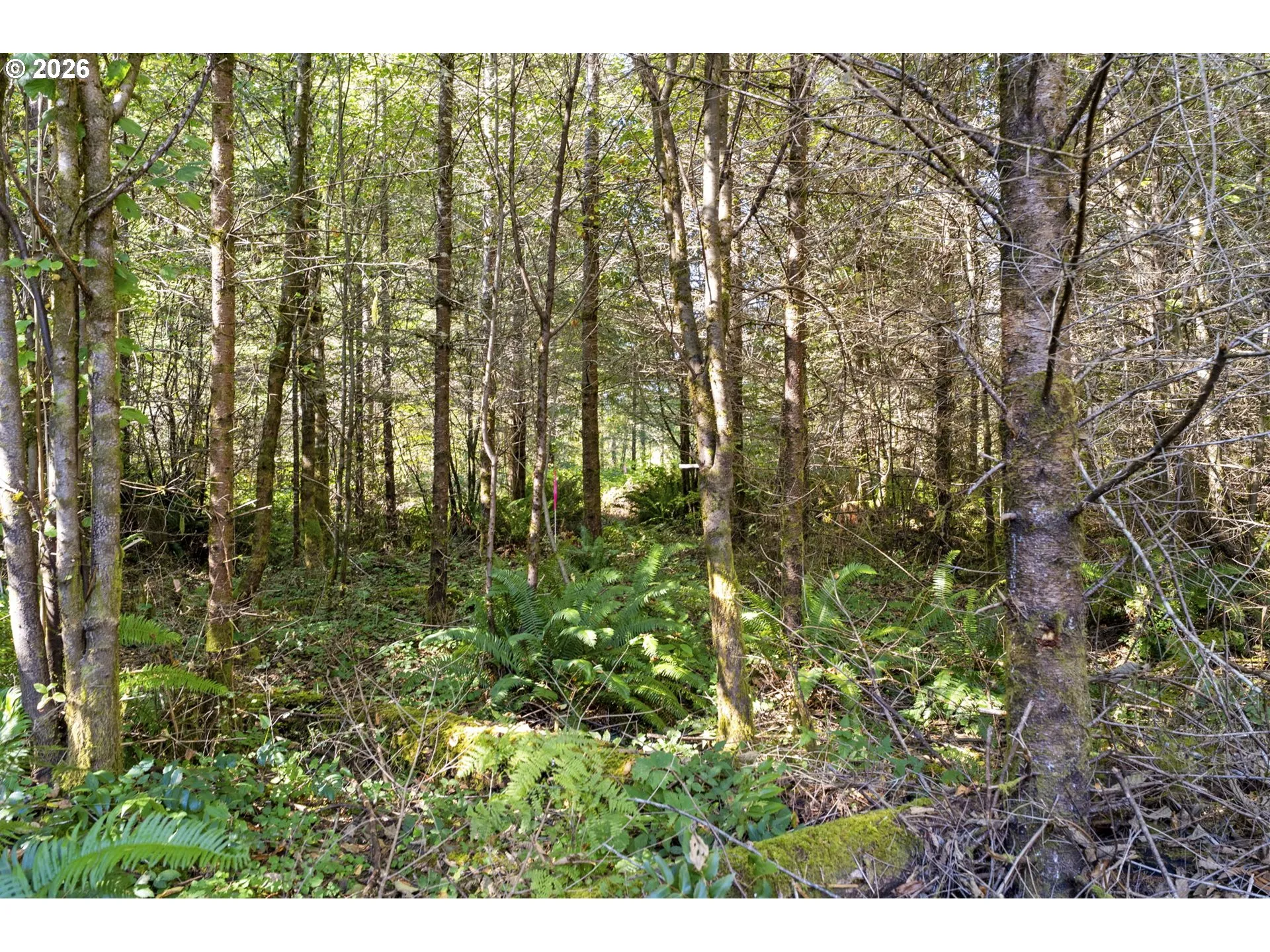 Acreage
