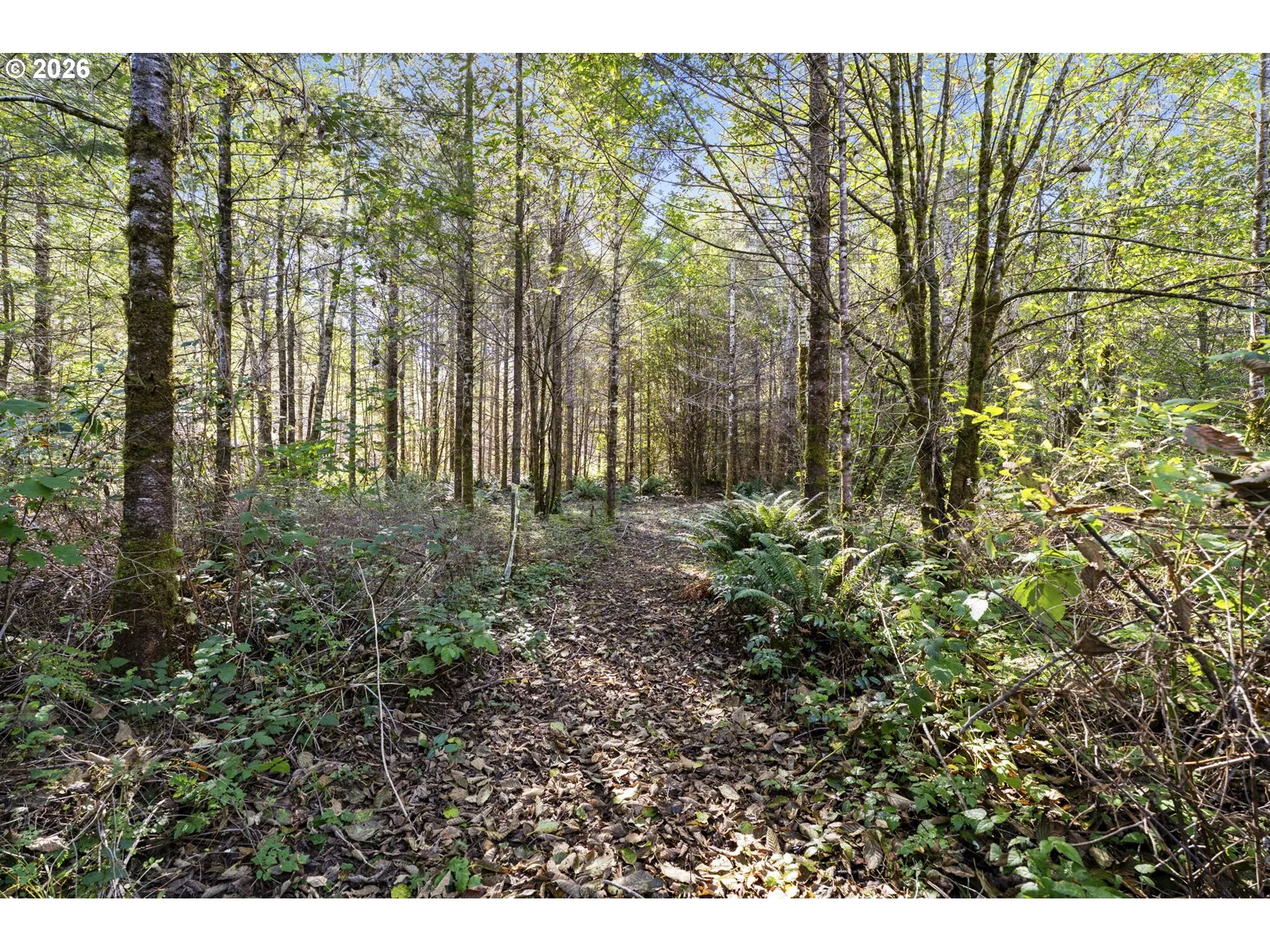 Acreage