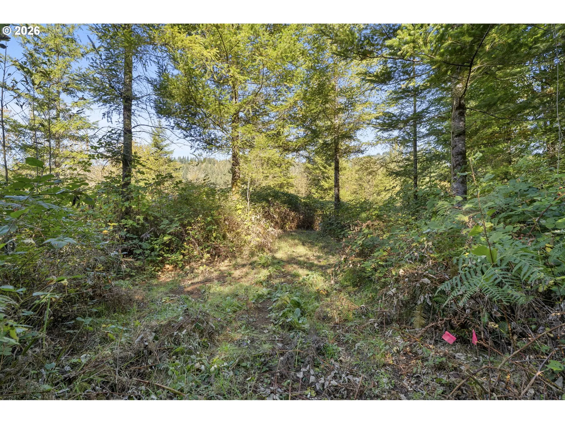 Acreage