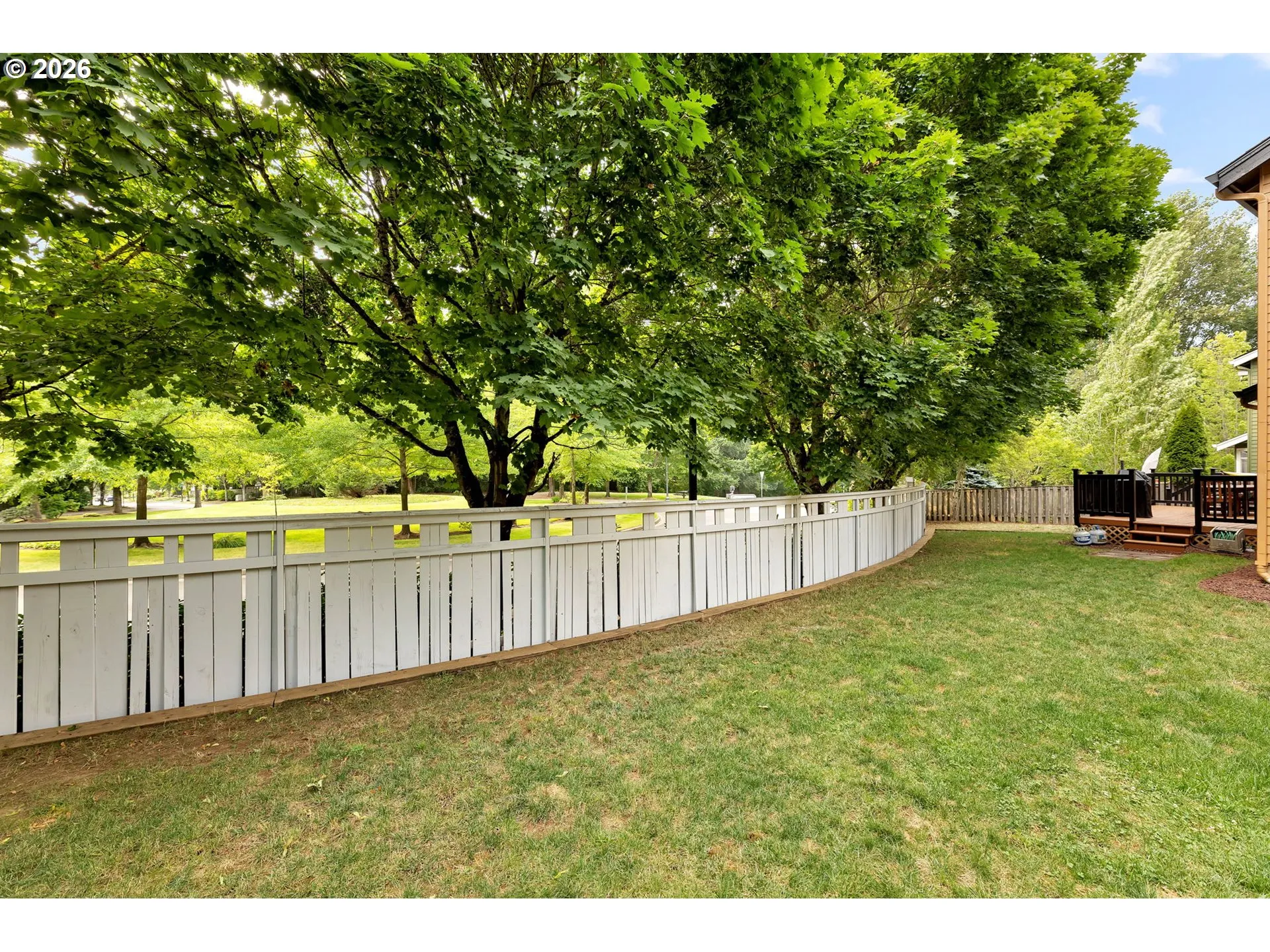 Backyard
