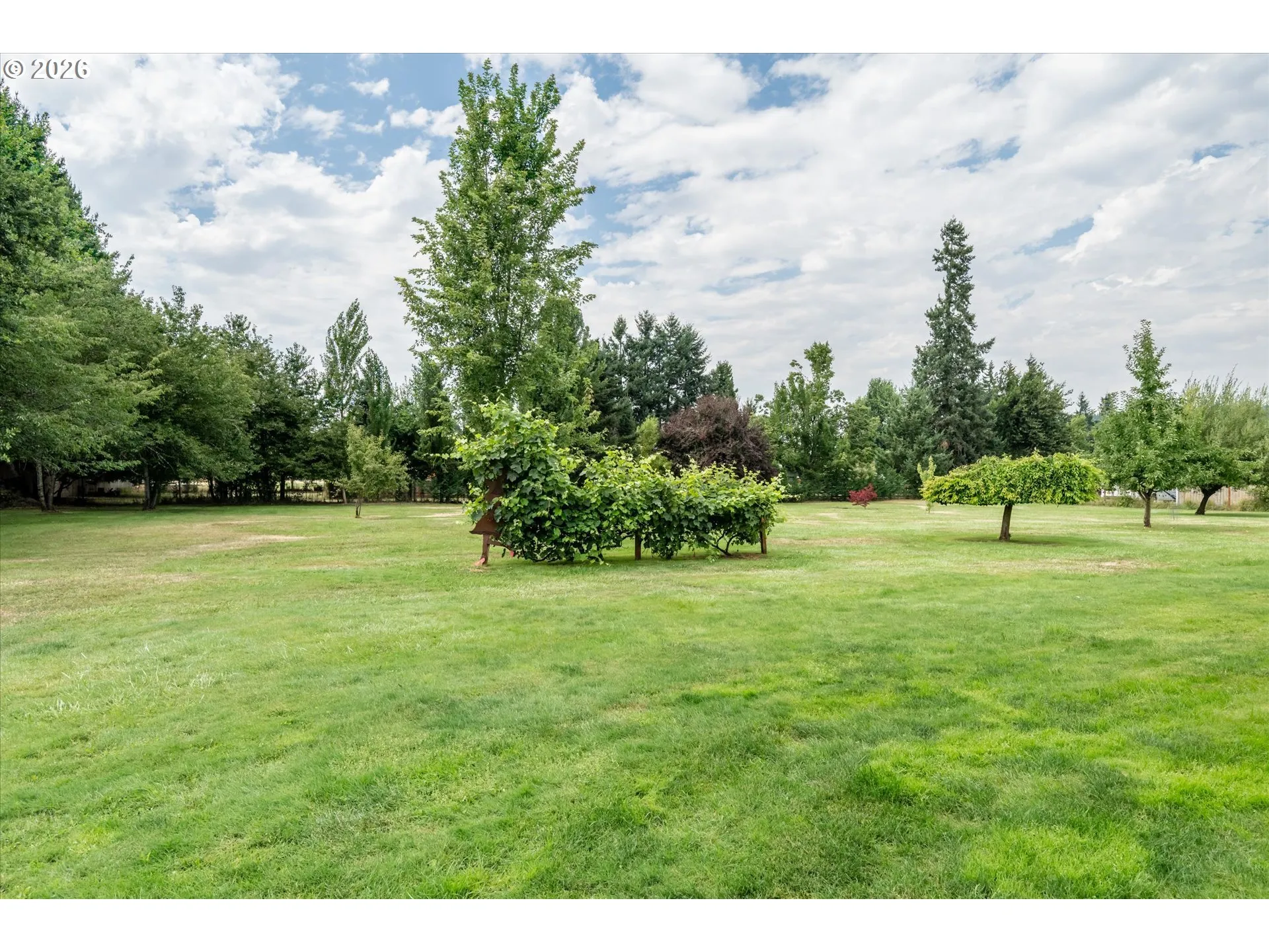 Yard-Trees