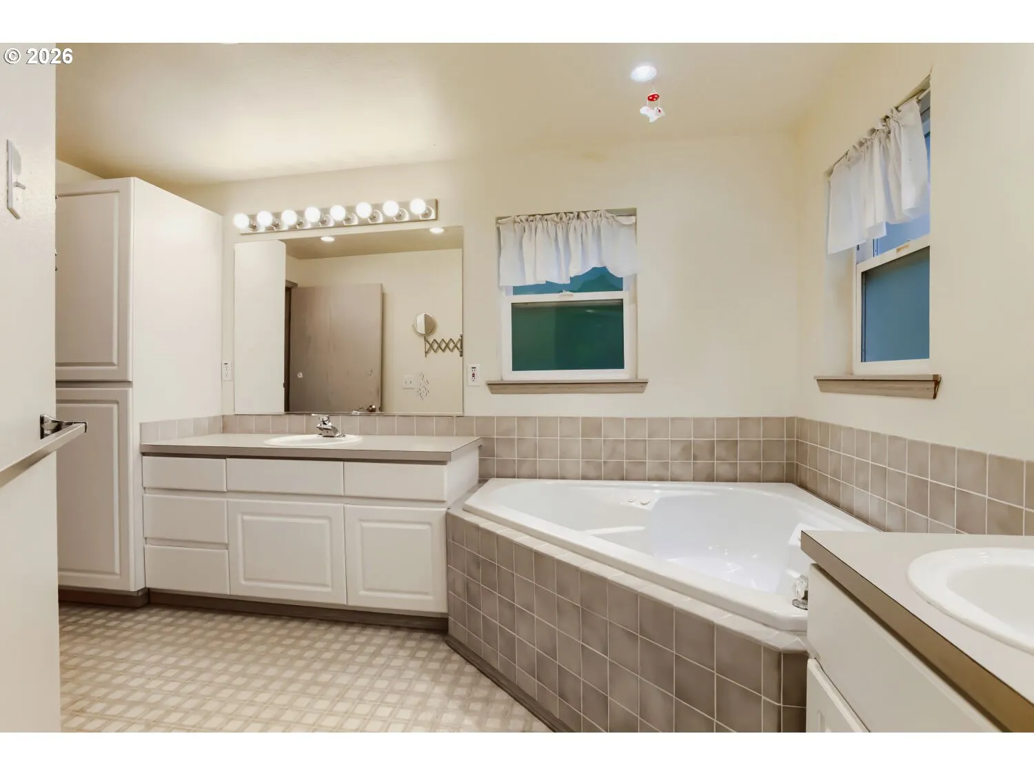 Owner's Suite Bathroom-Walk in Shower