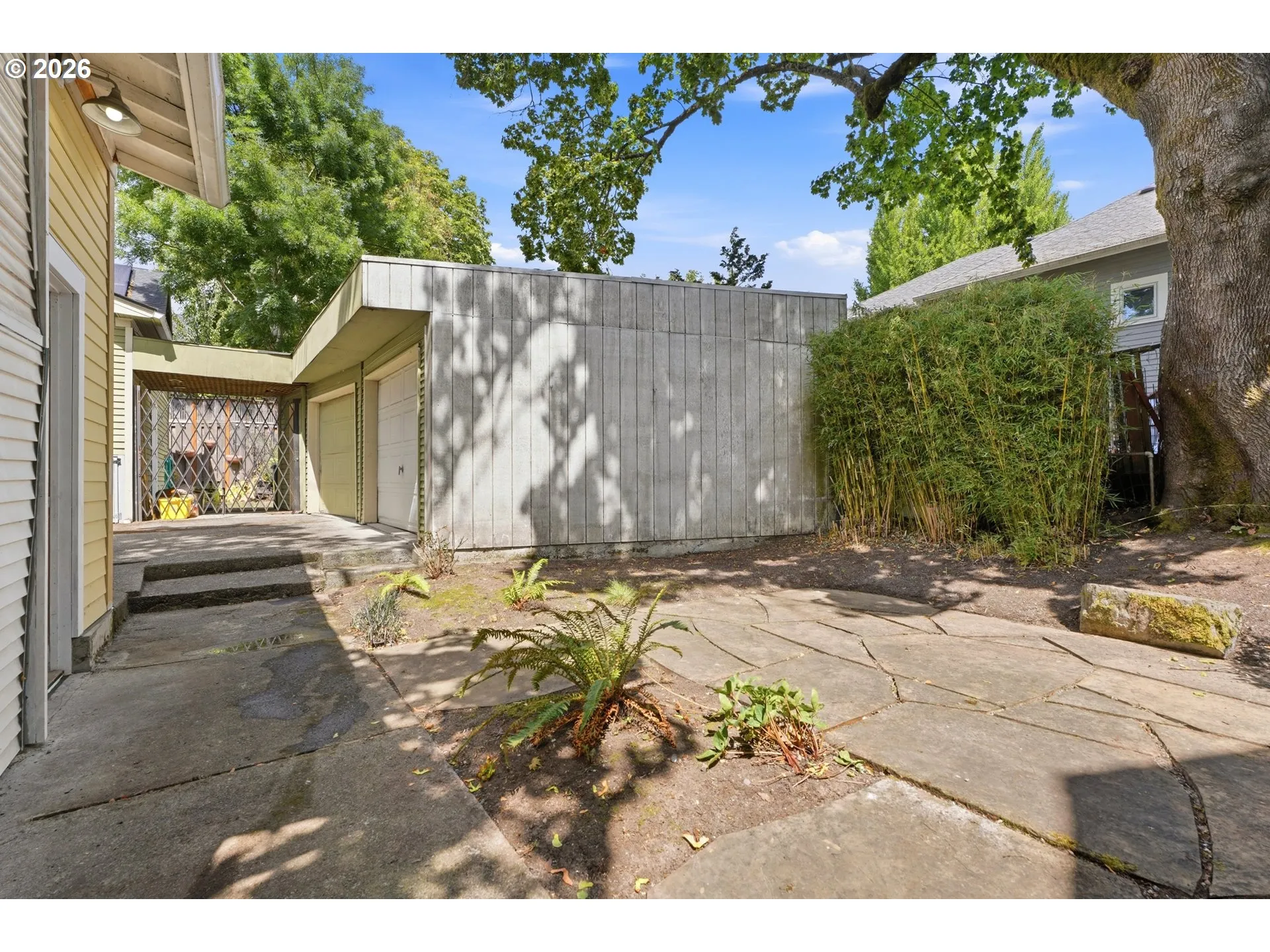 Backyard