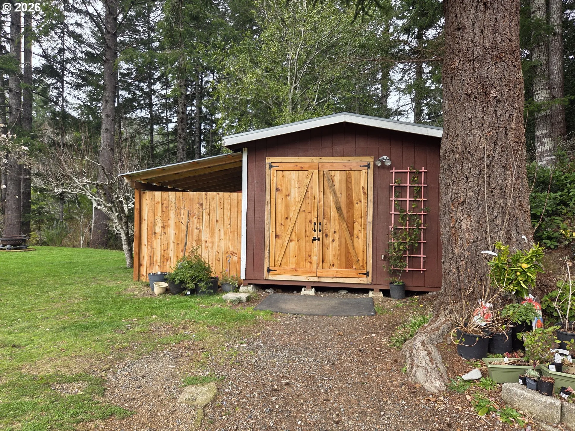 Shed