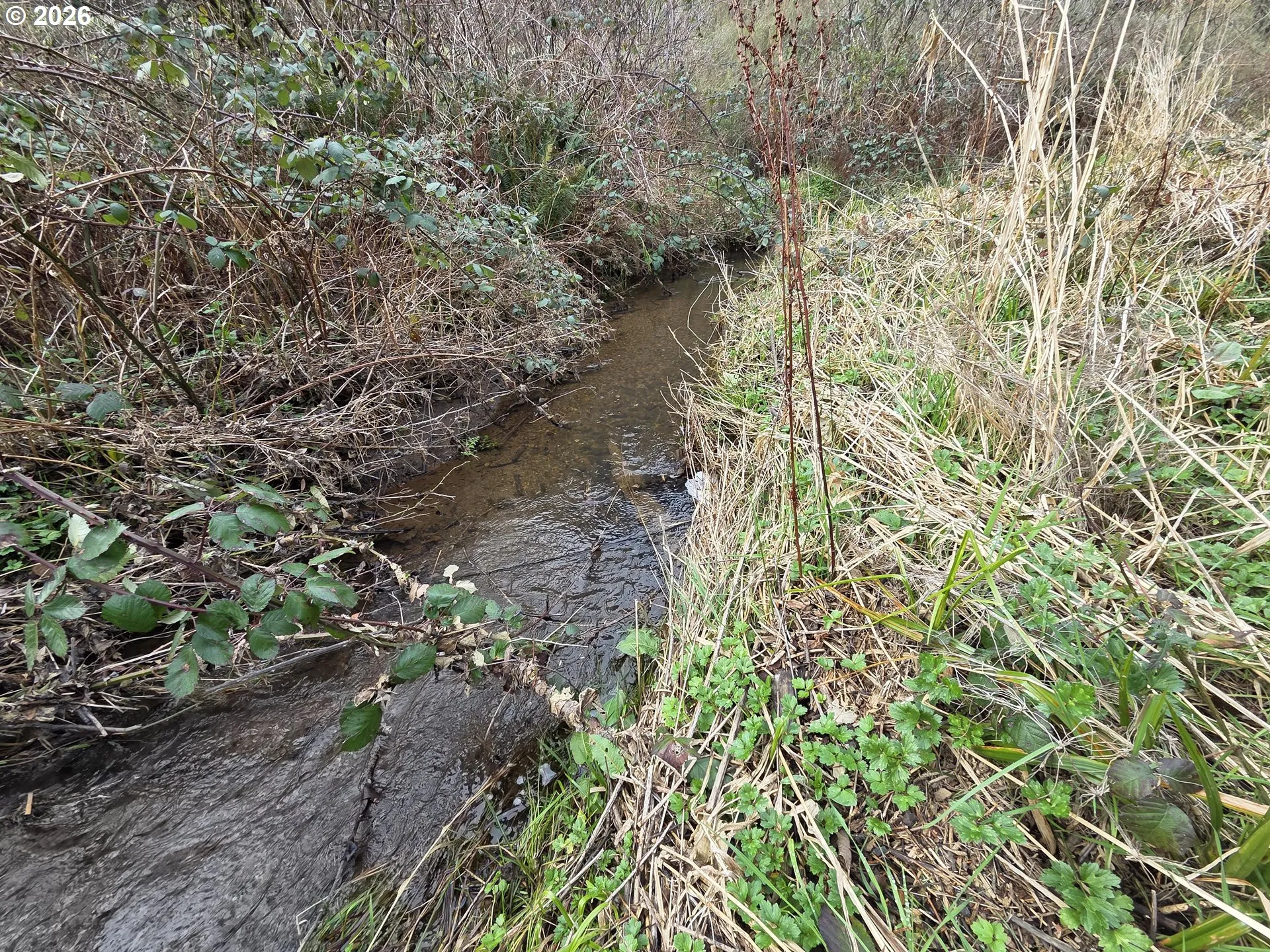 Creek