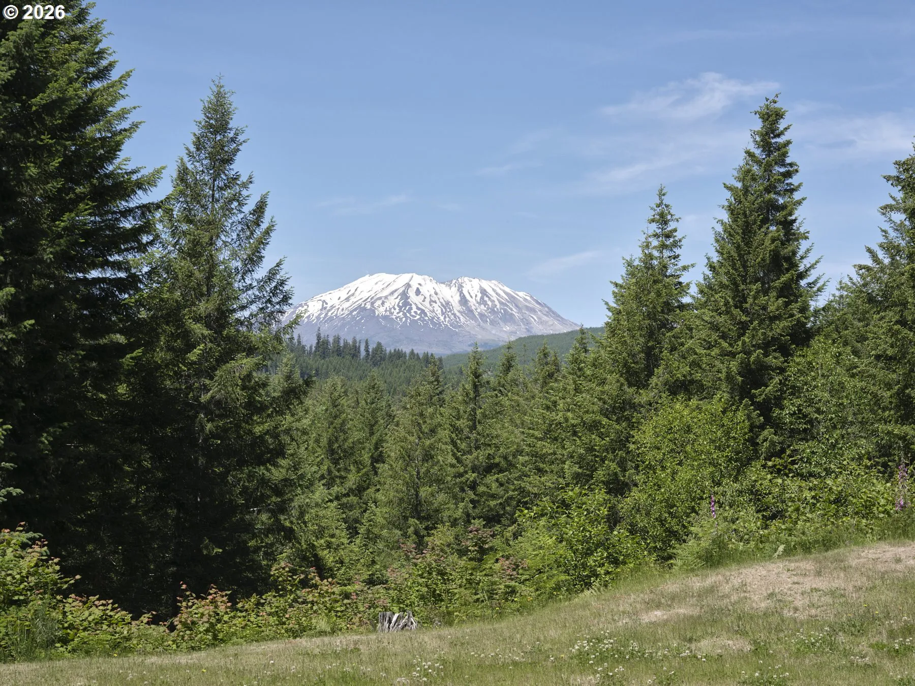 View-Mountain