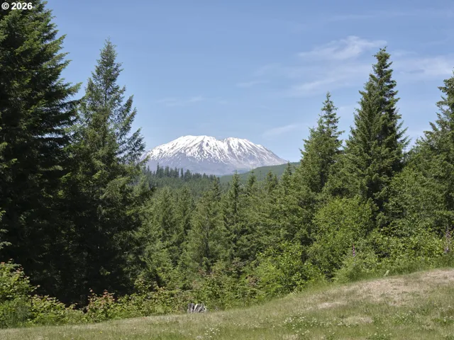 View-Mountain