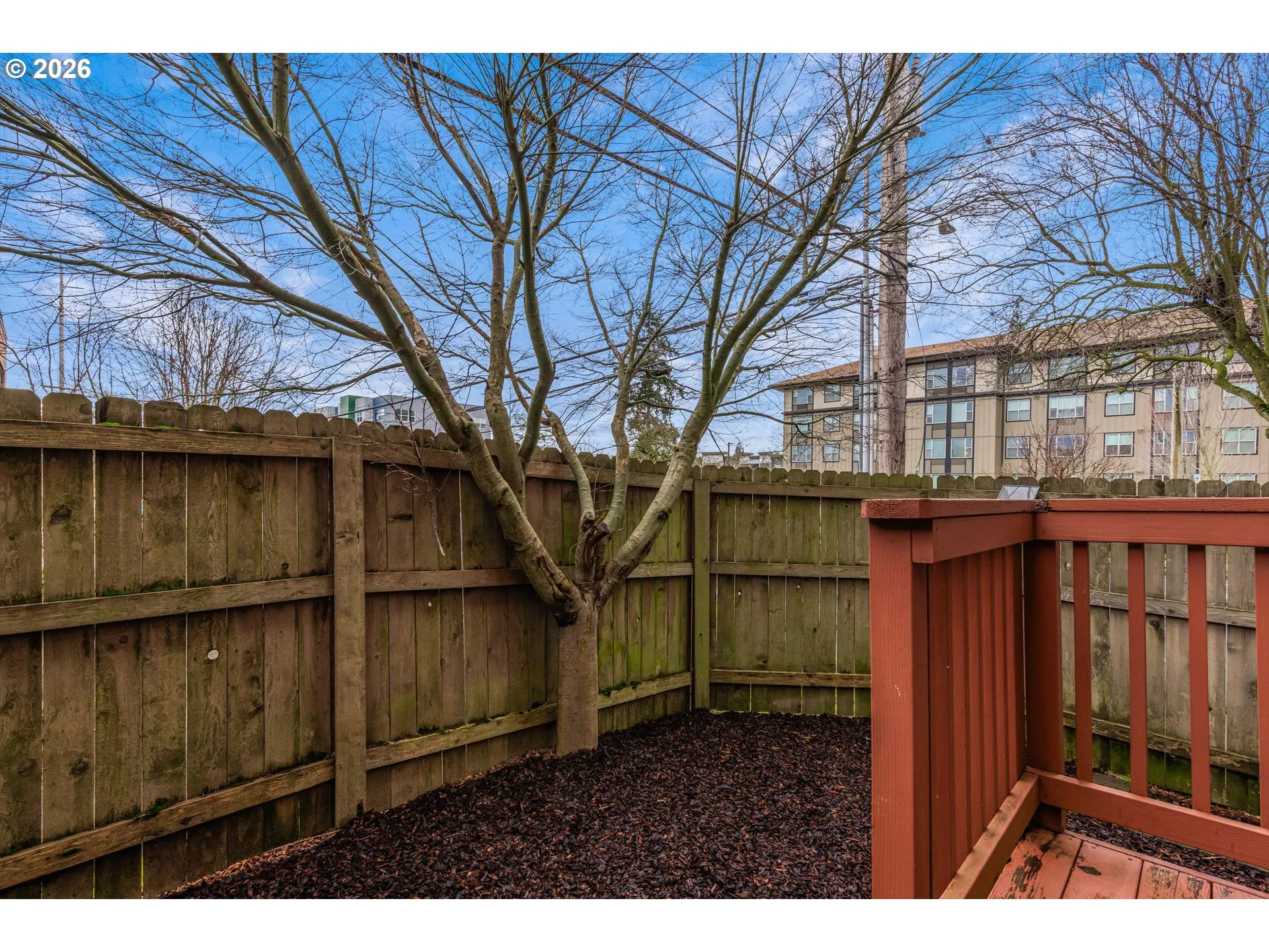 Backyard-Fenced