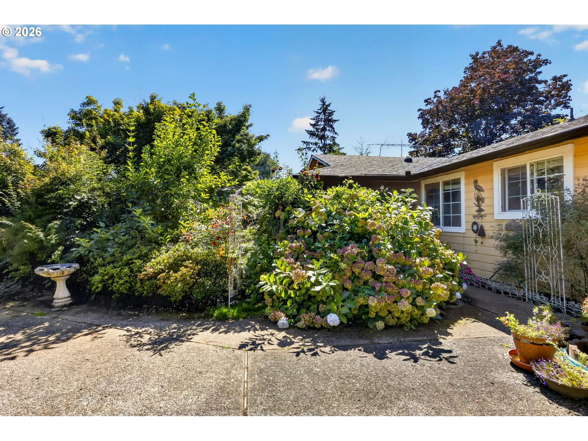 Front Yard