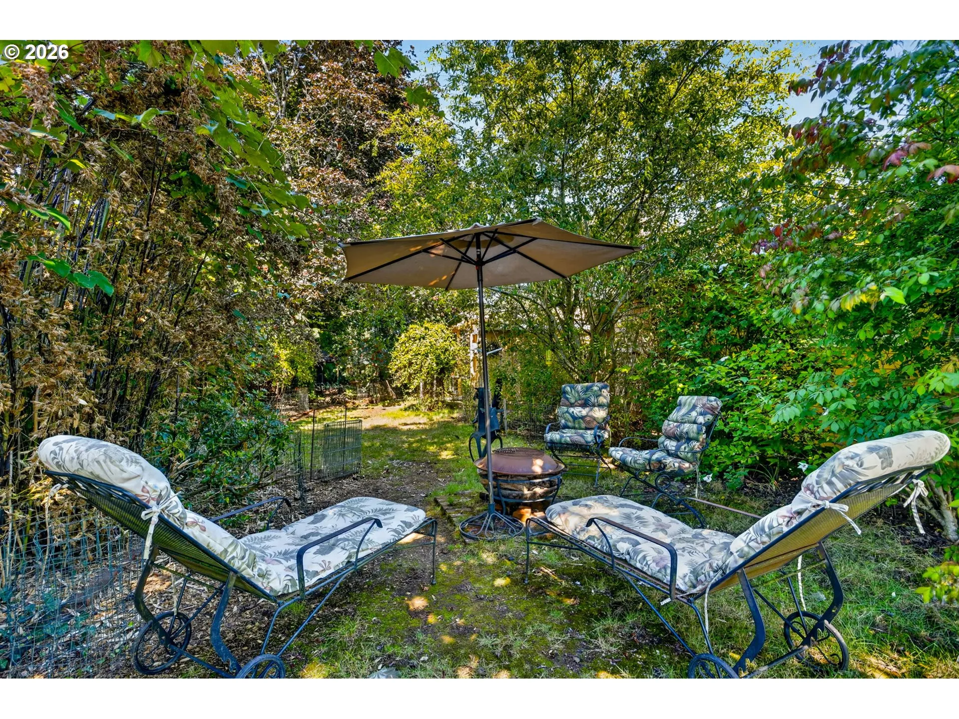 Backyard-Fenced