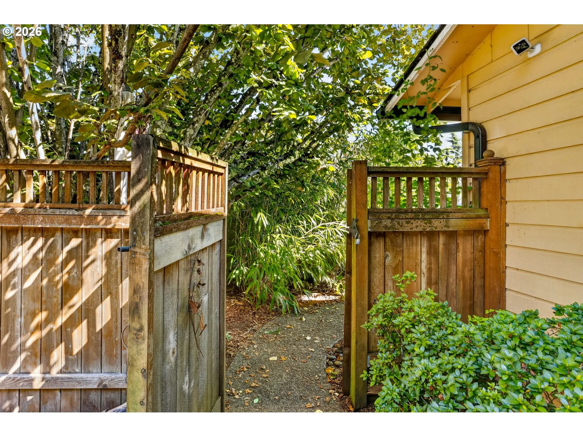 Backyard-Fenced