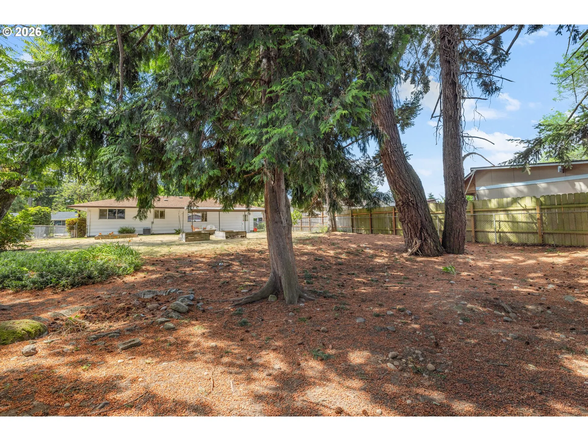 Backyard-View From