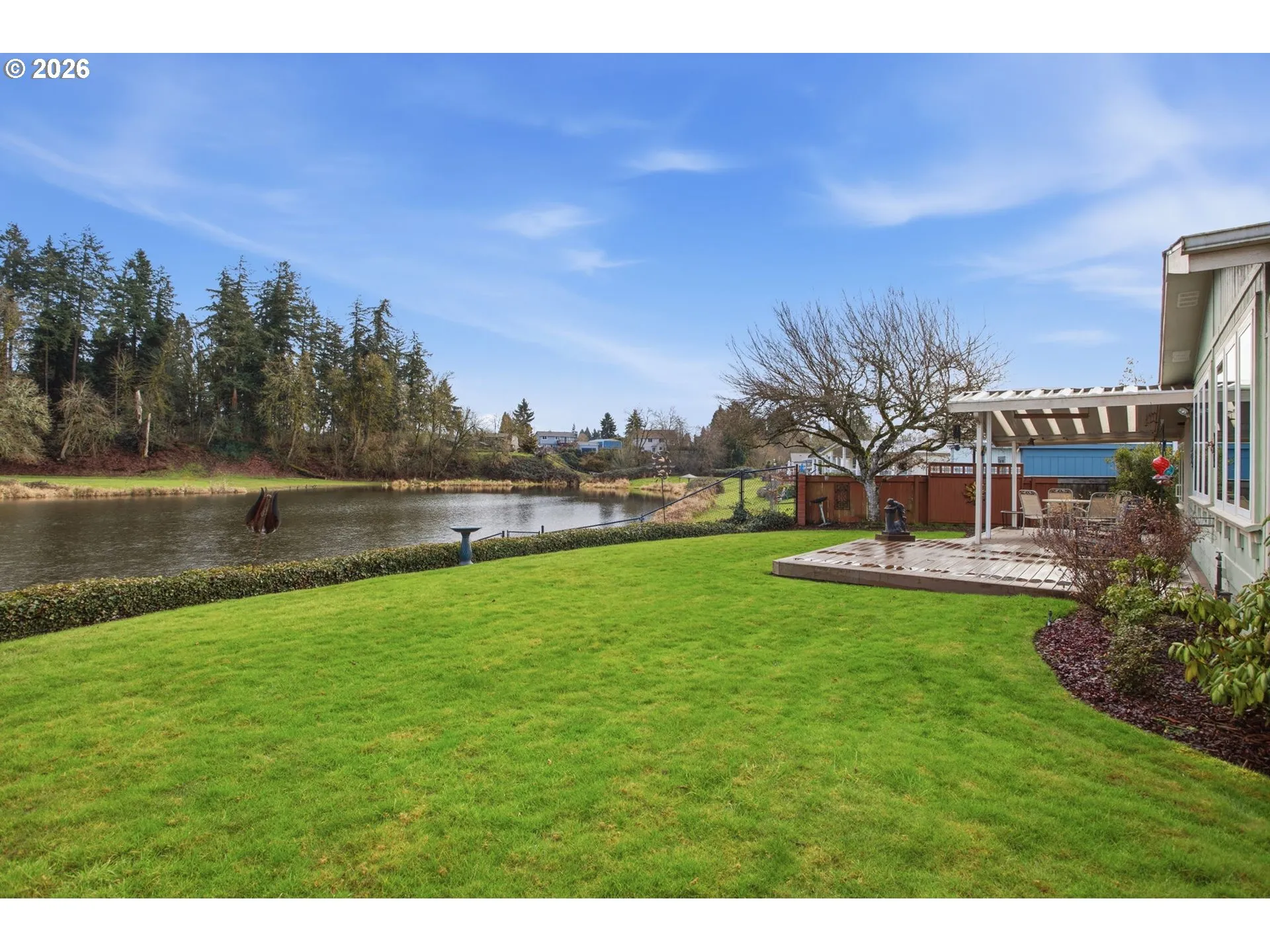 Backyard-View From