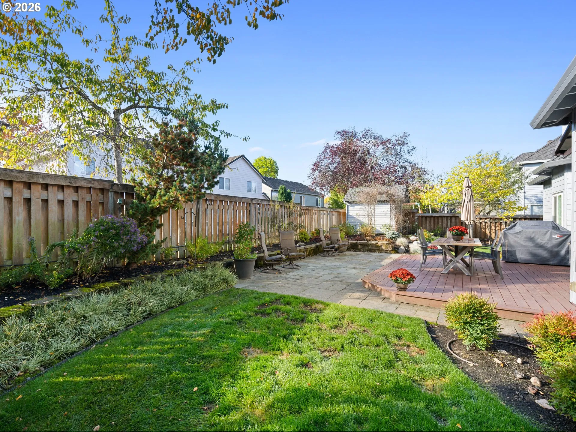Backyard