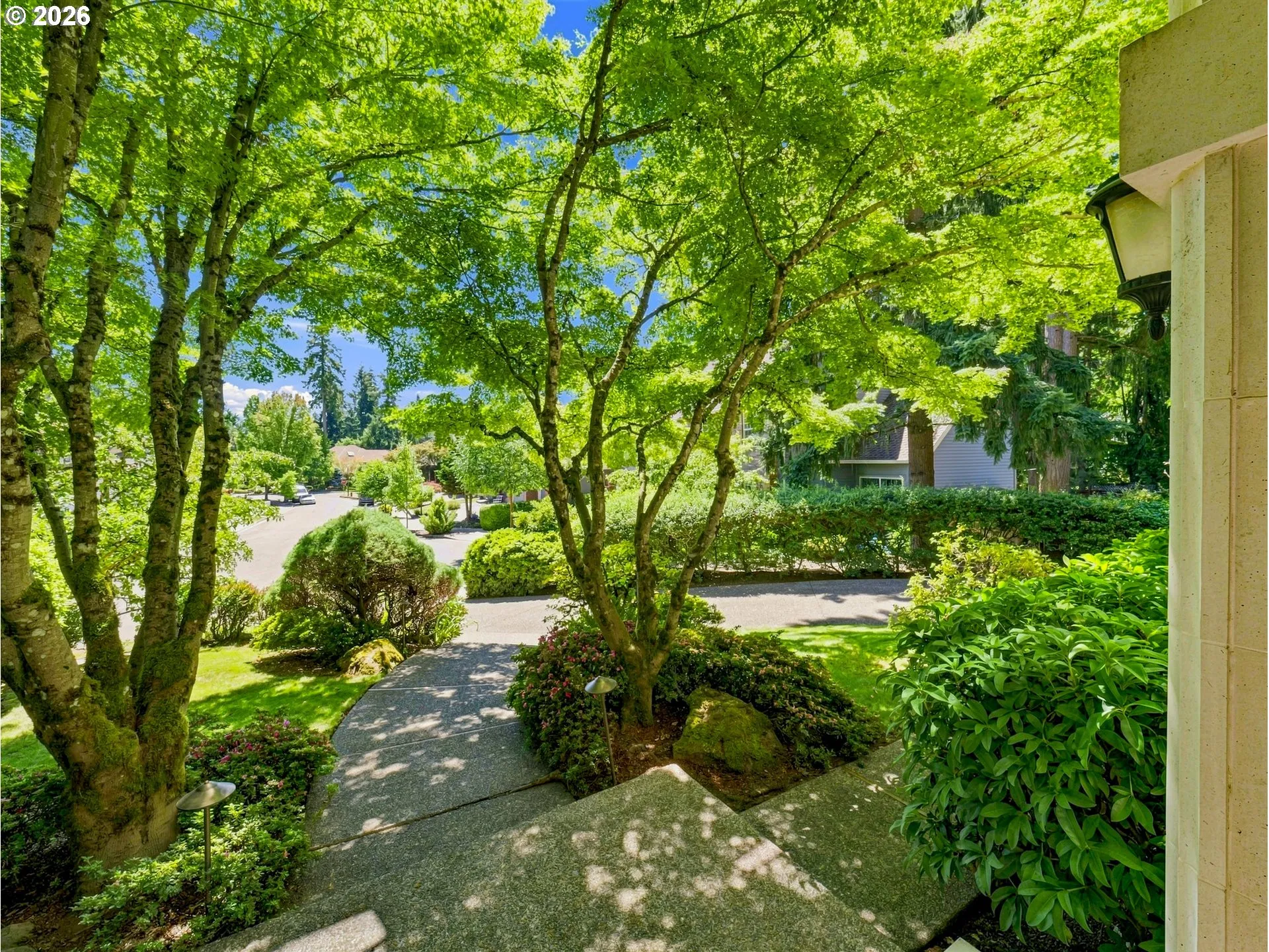 Front Yard