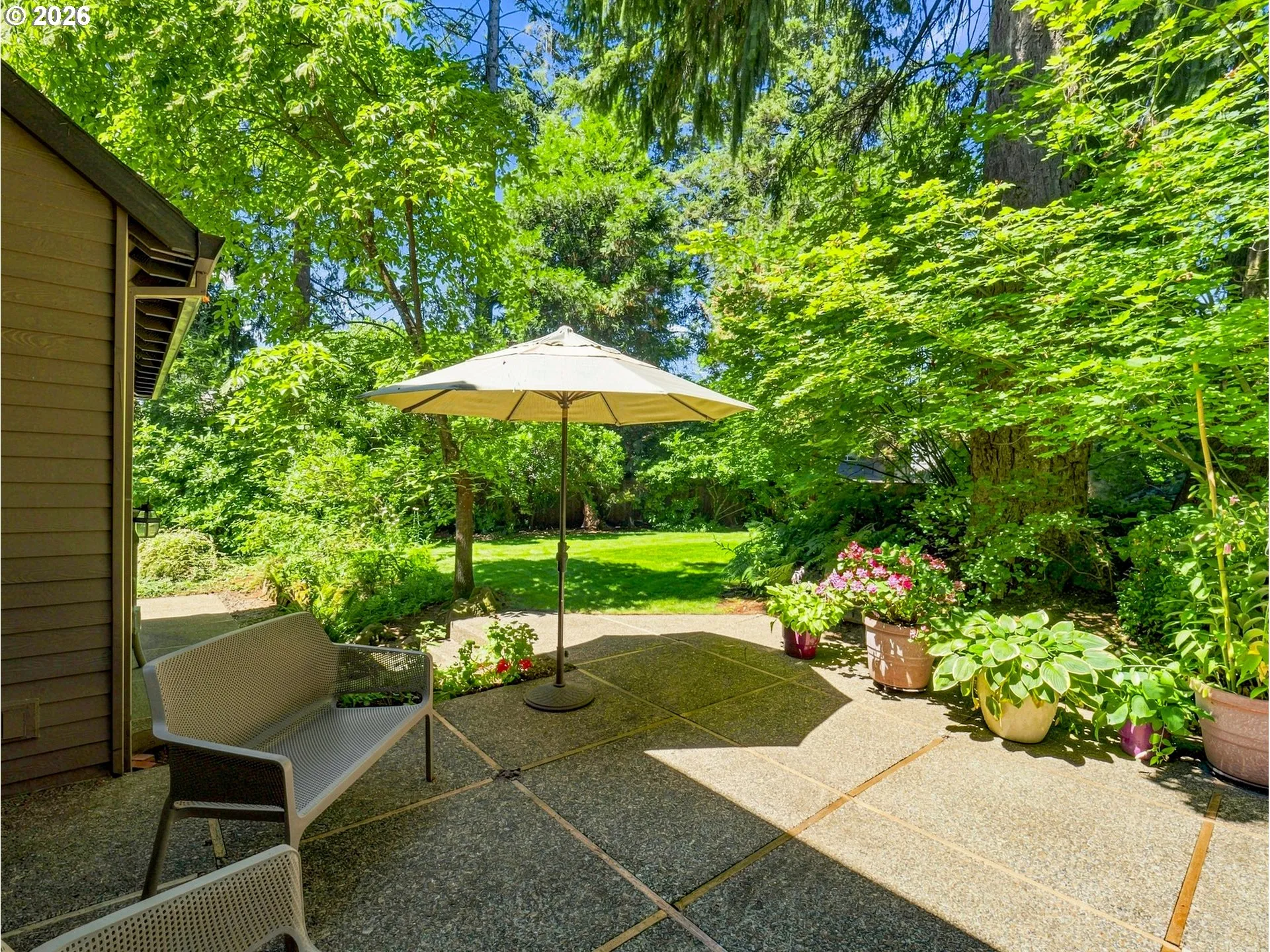 Patio-Backyard