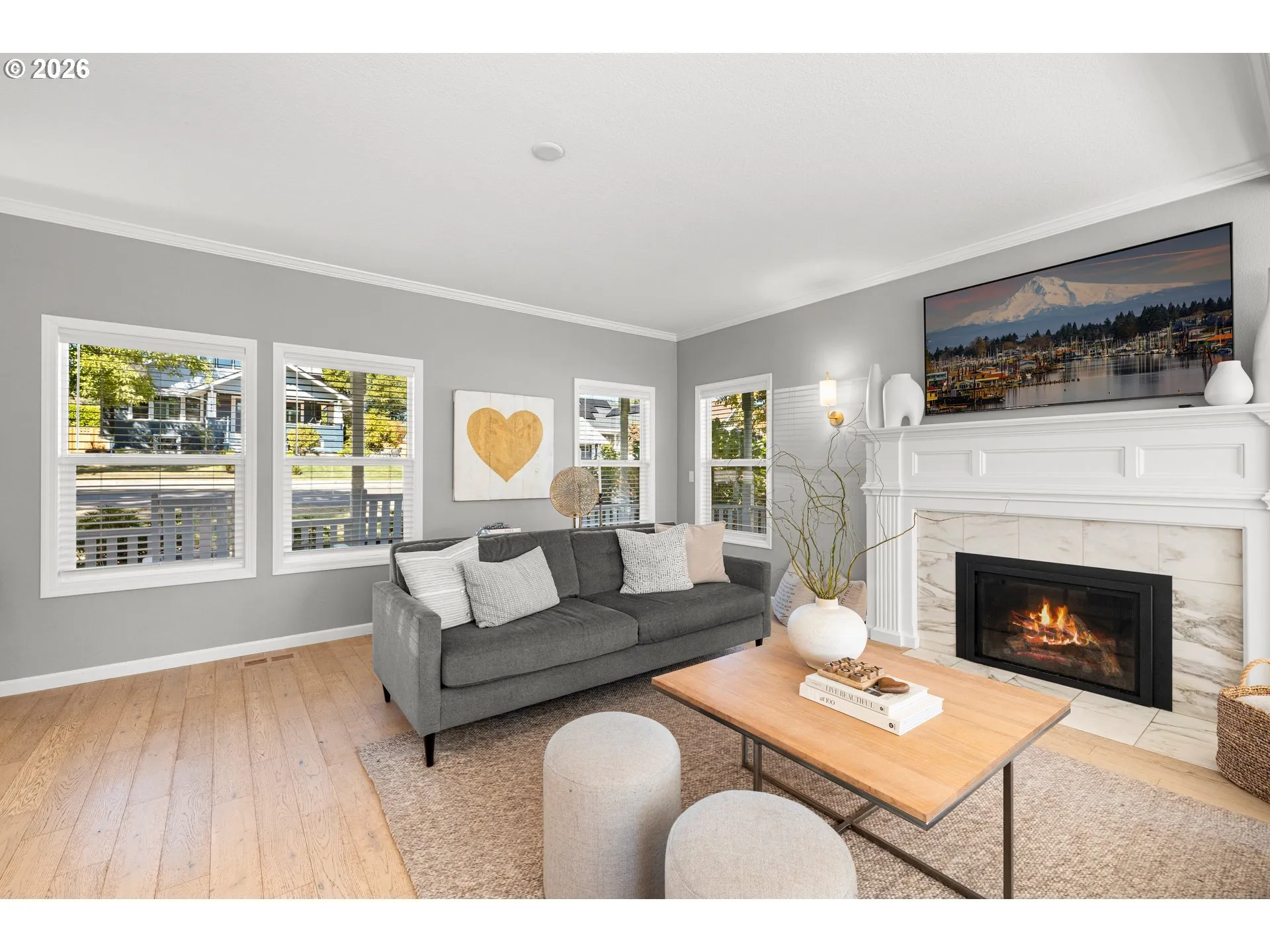 Fireplace Gas