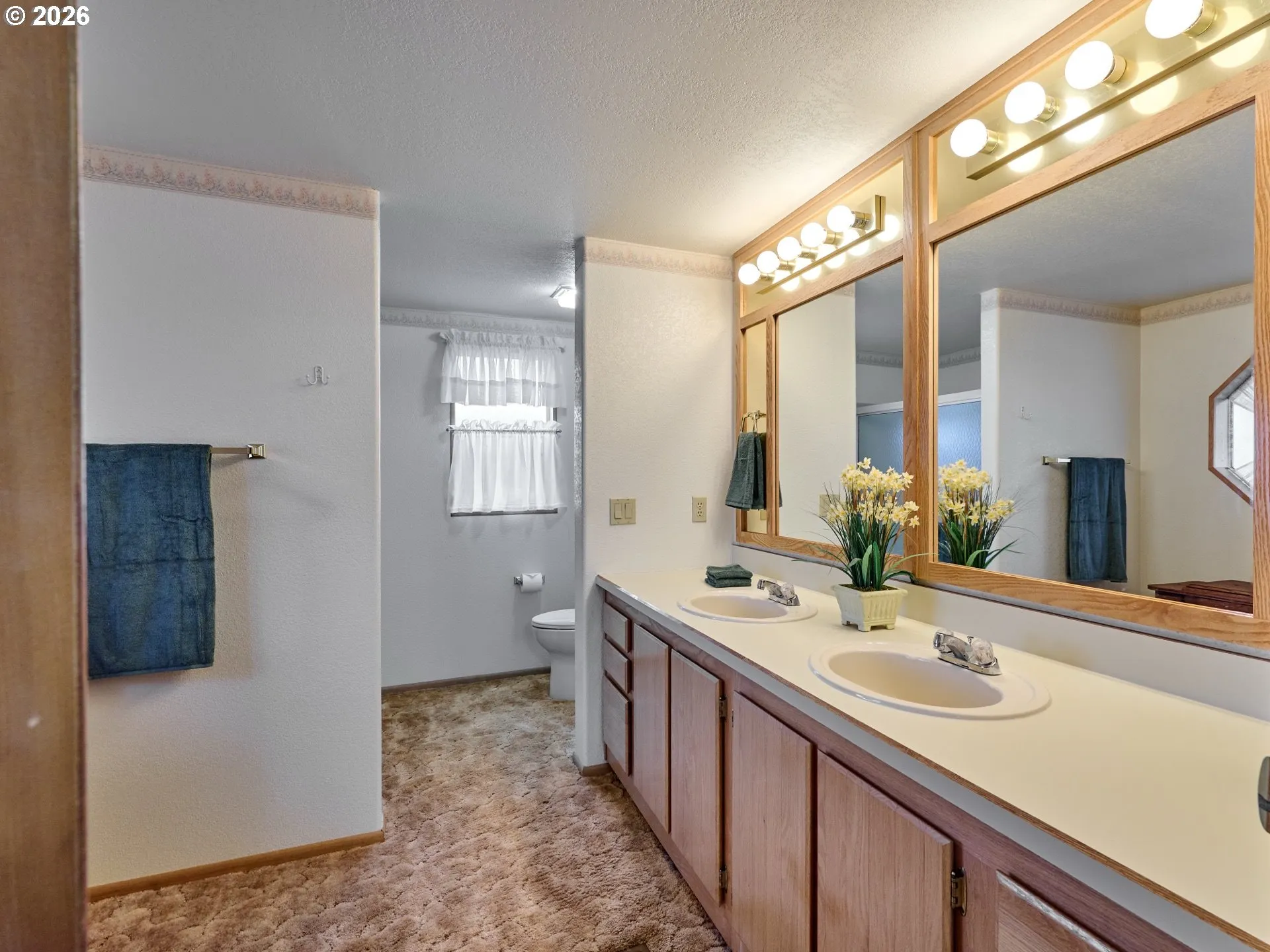 Owner's Suite Bathroom-Double Sinks
