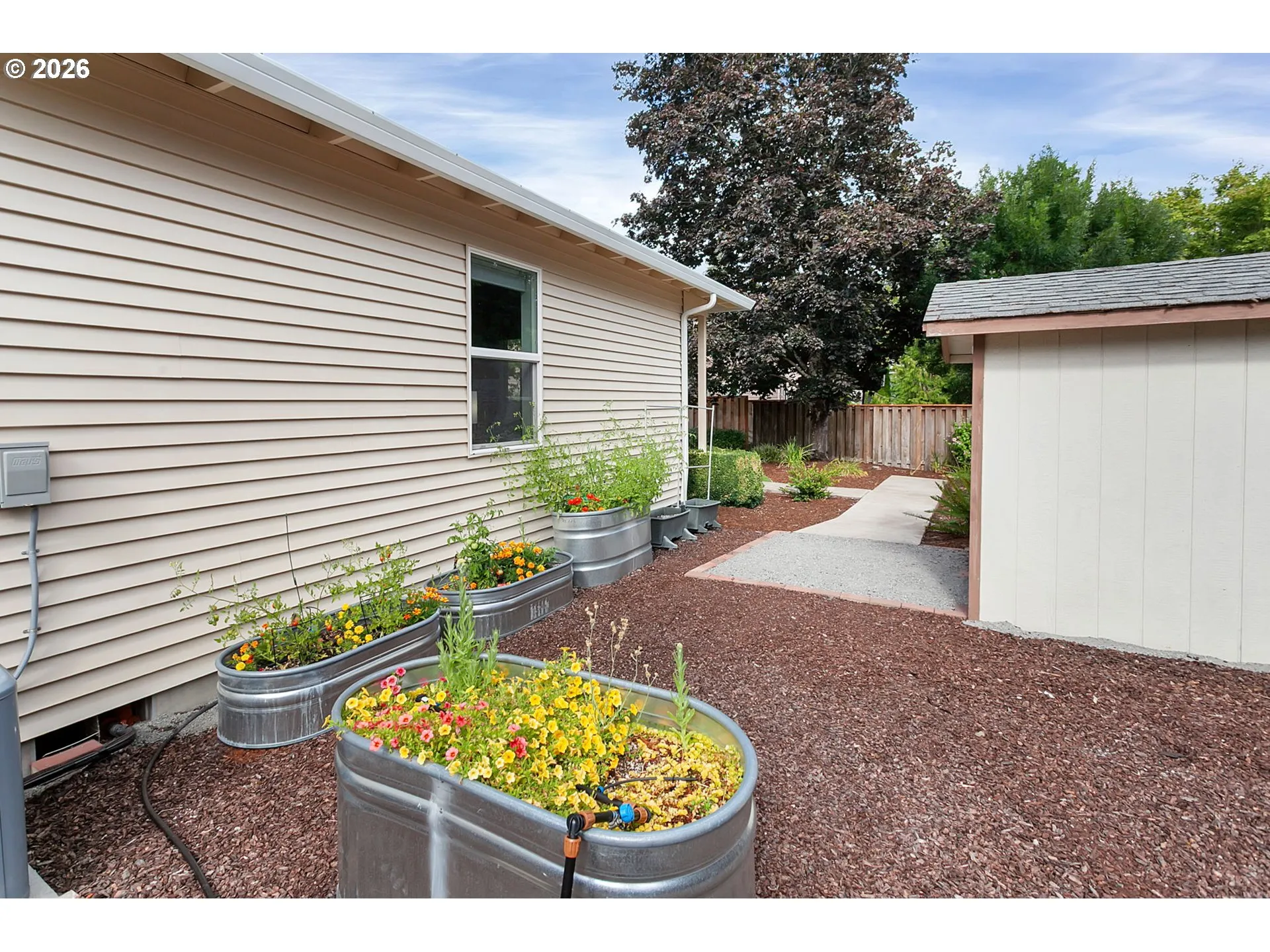 Backyard