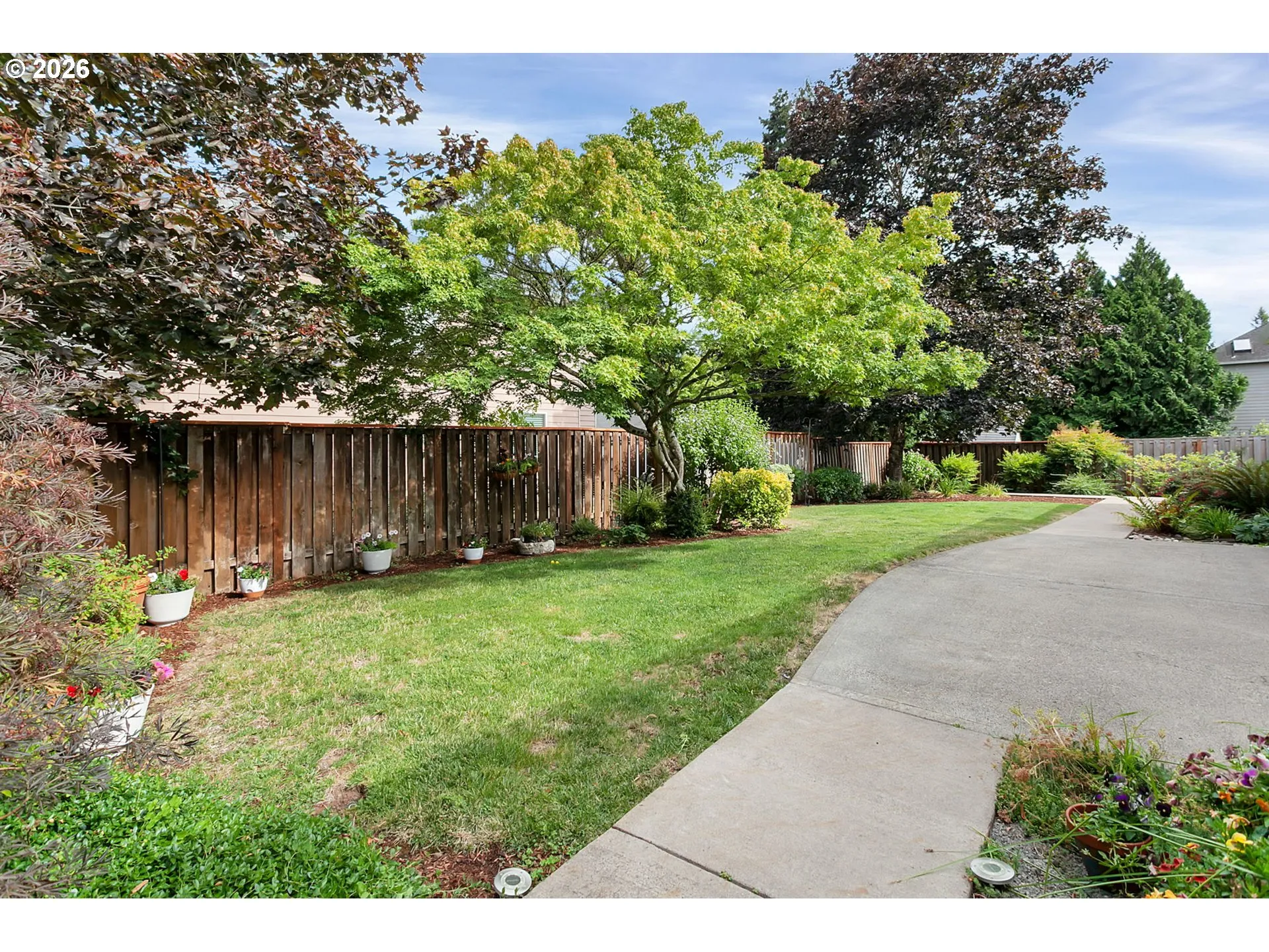 Backyard