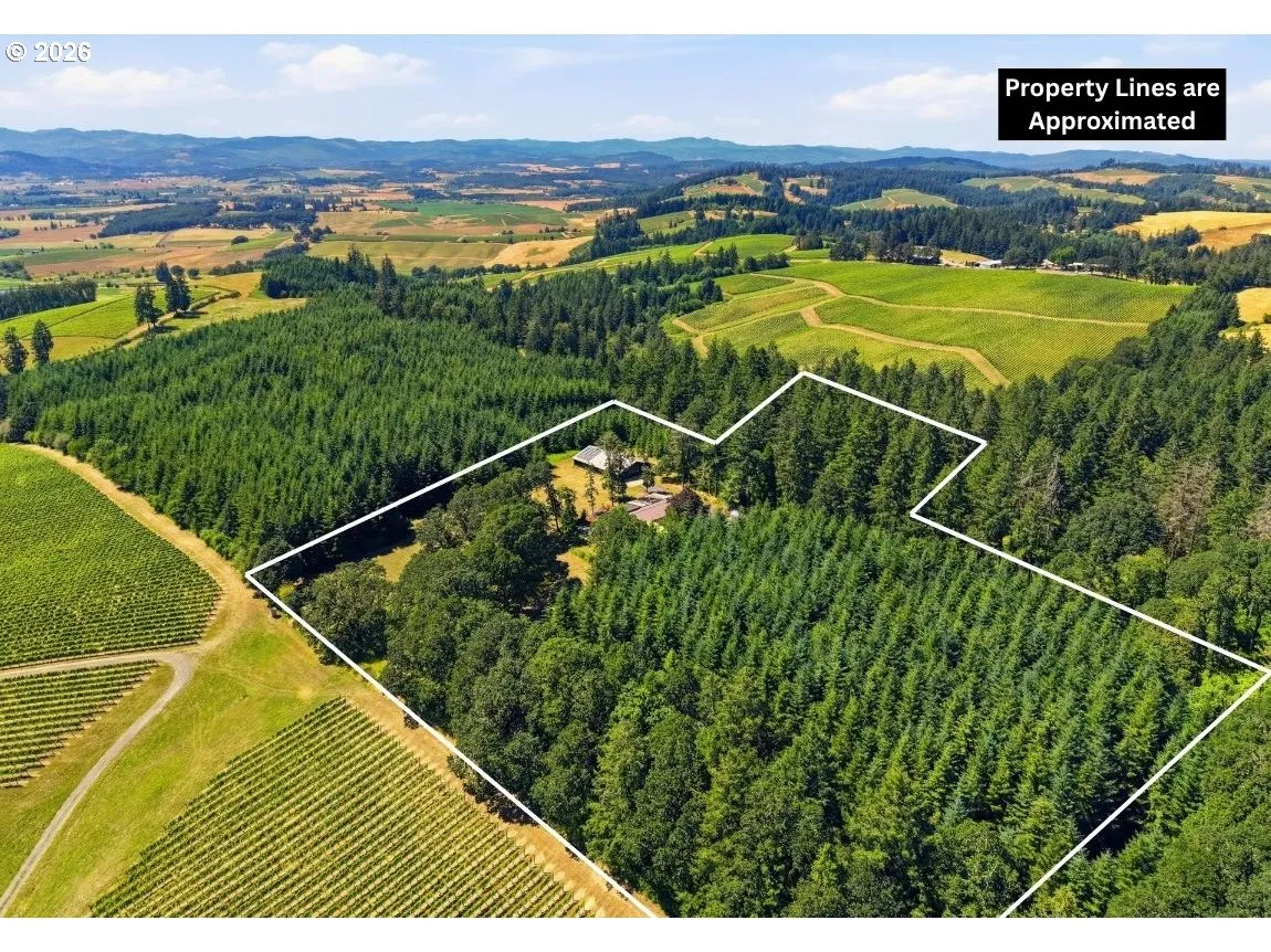 Drone View/UAV