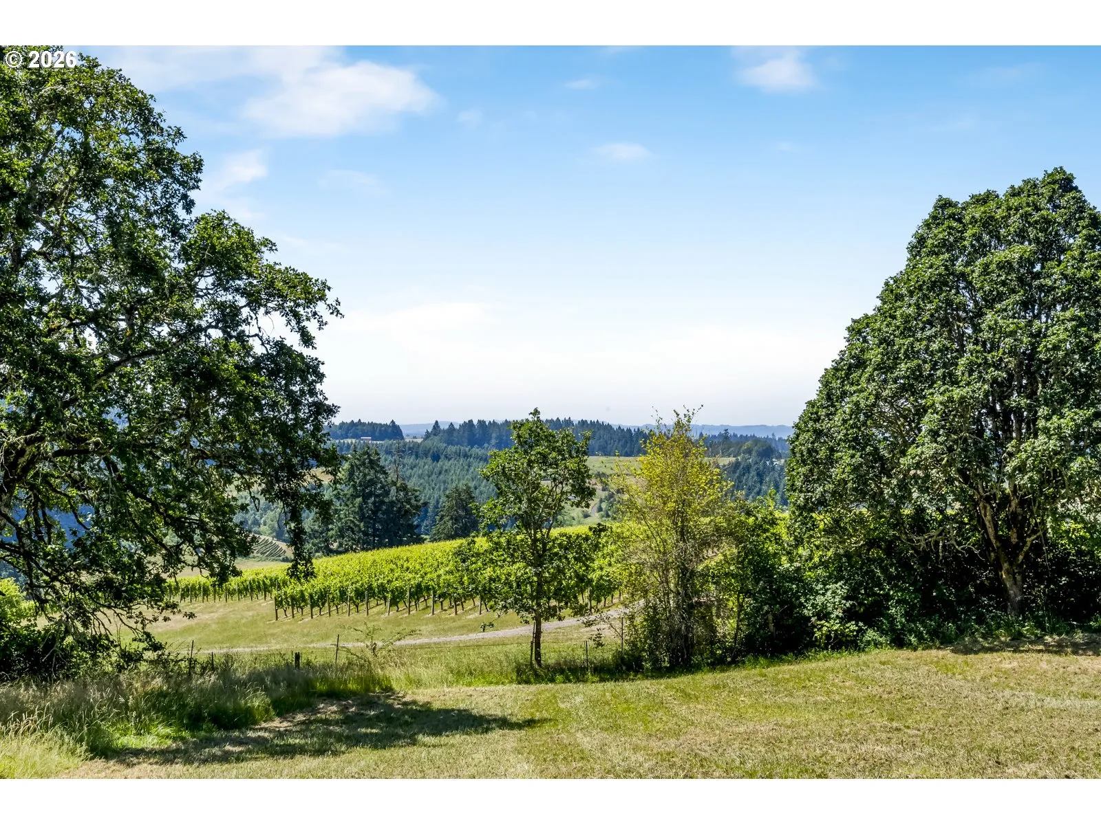 View-Valley