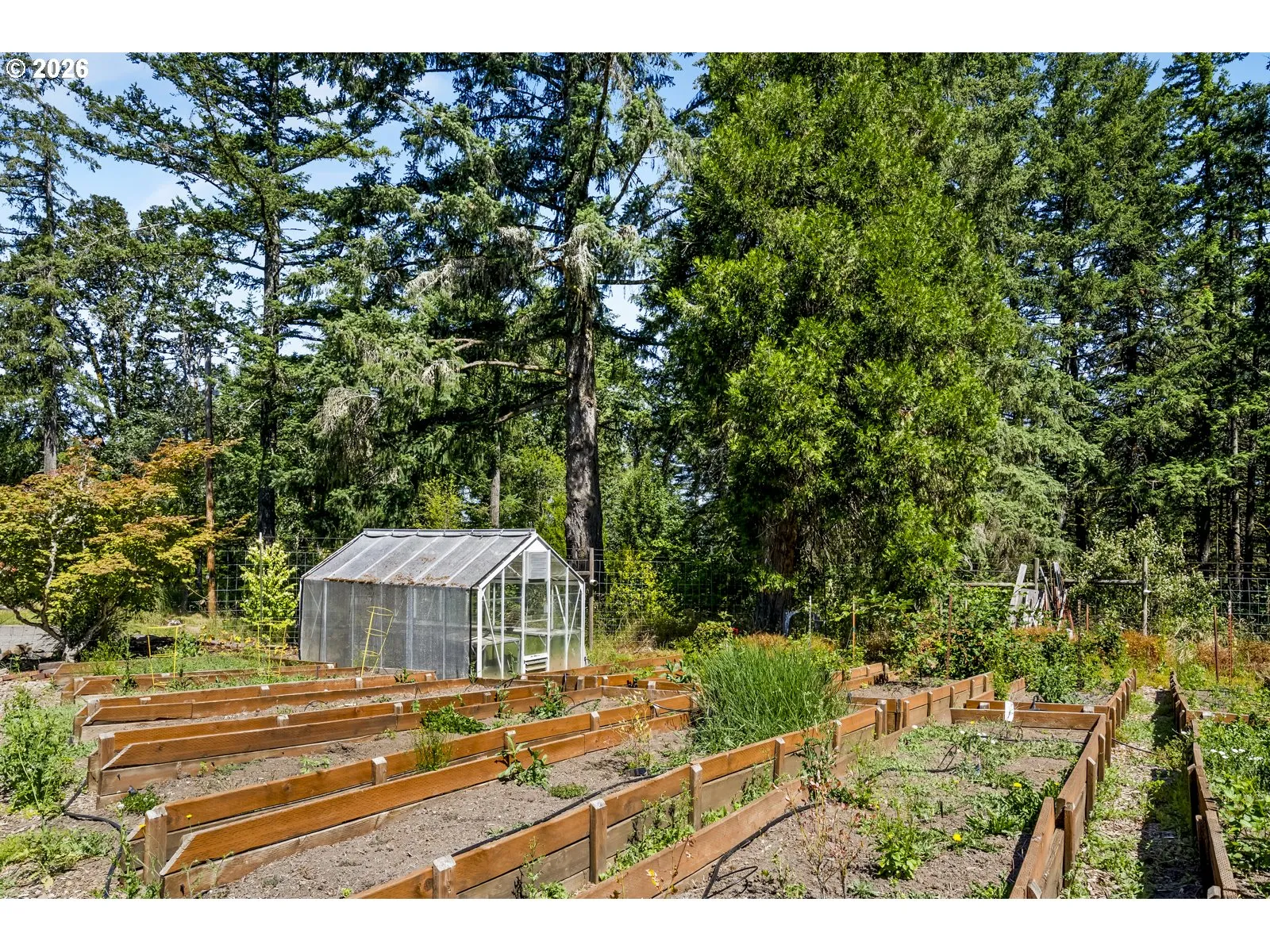 Greenhouse