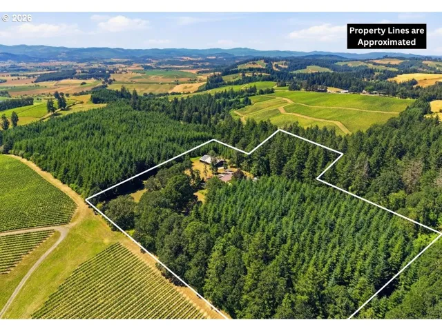Drone View/UAV