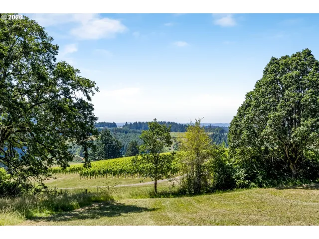 View-Valley