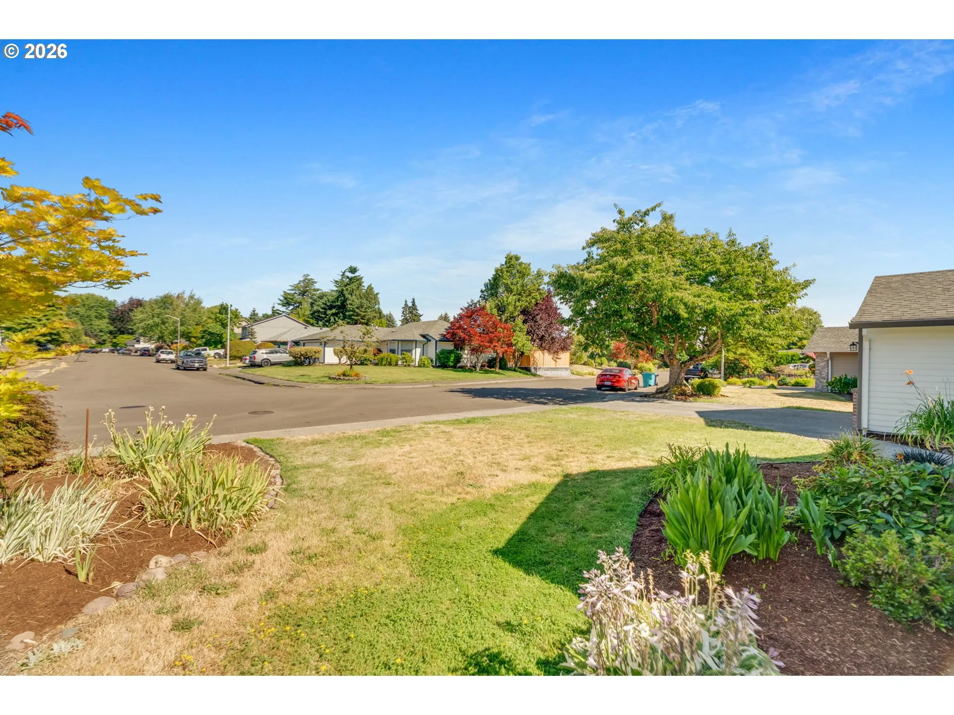 Front Yard-View From
