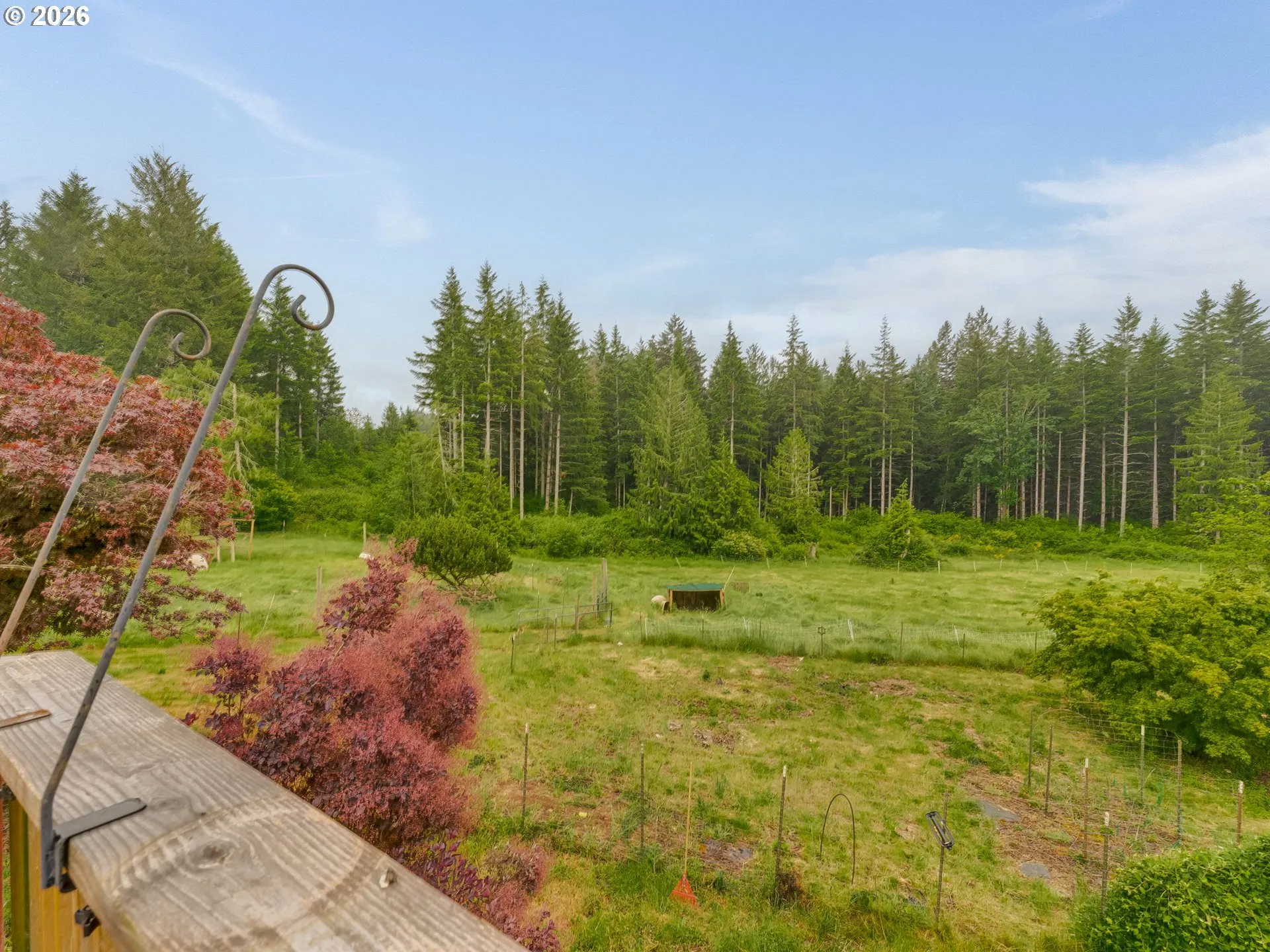 Backyard-View From