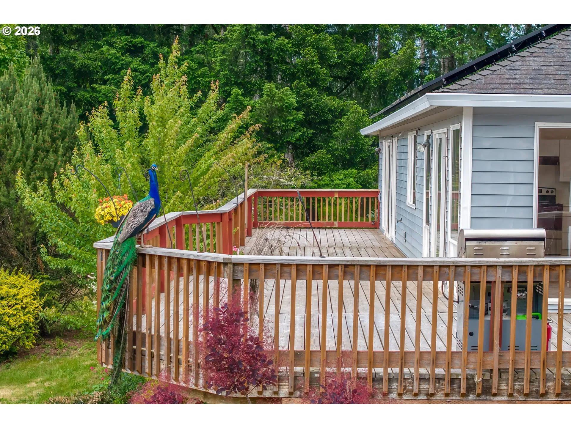 Deck-Main