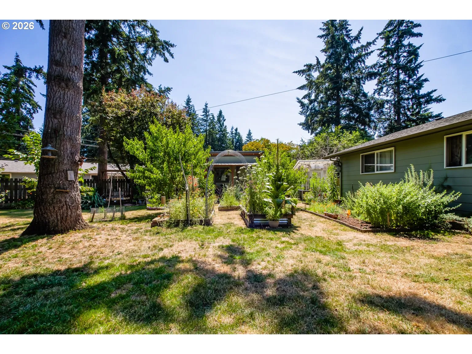 Backyard-Fenced