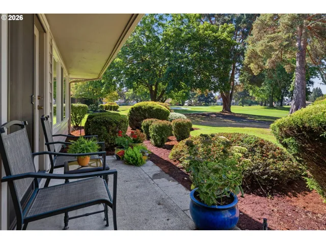 Patio-Backyard