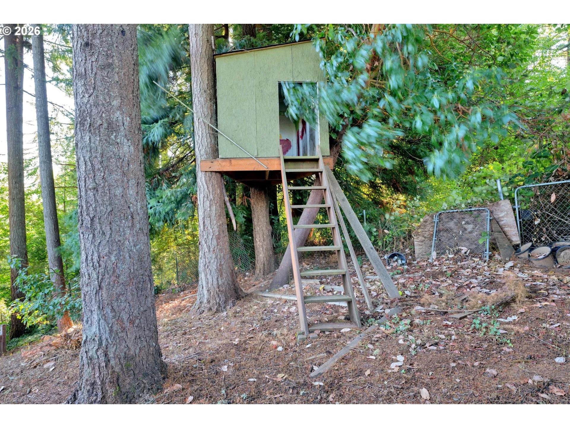 Backyard-Fenced