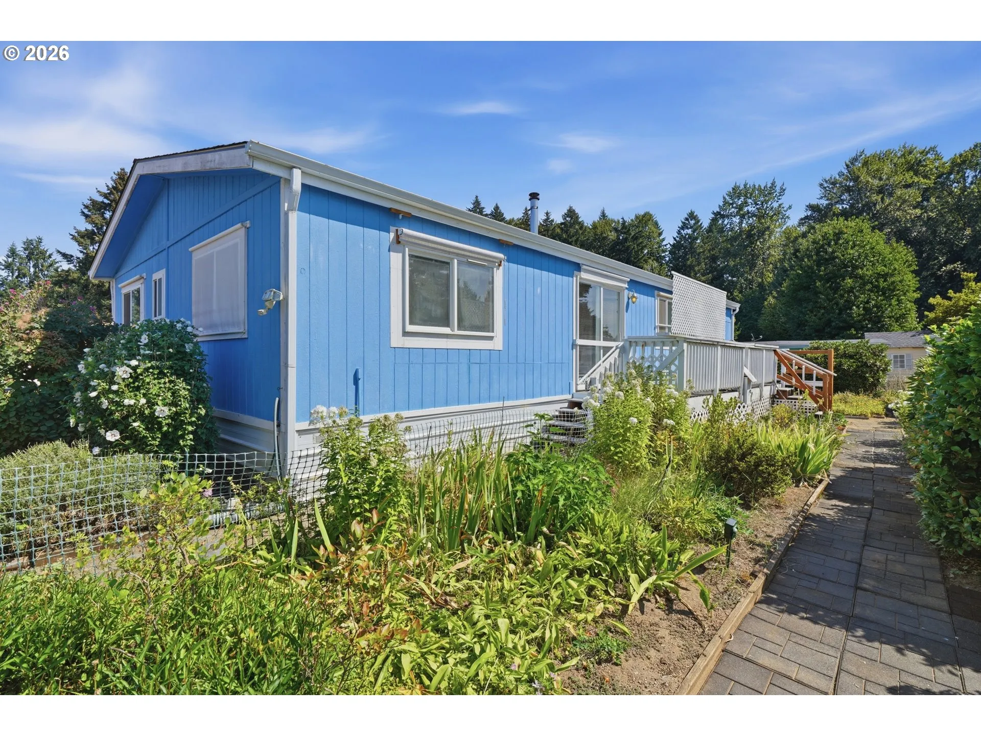 Backyard-View From