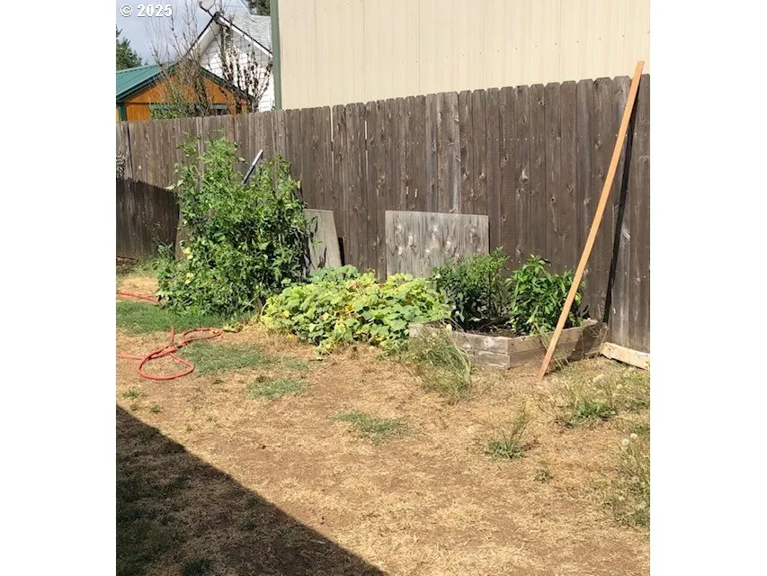 Backyard-Fenced
