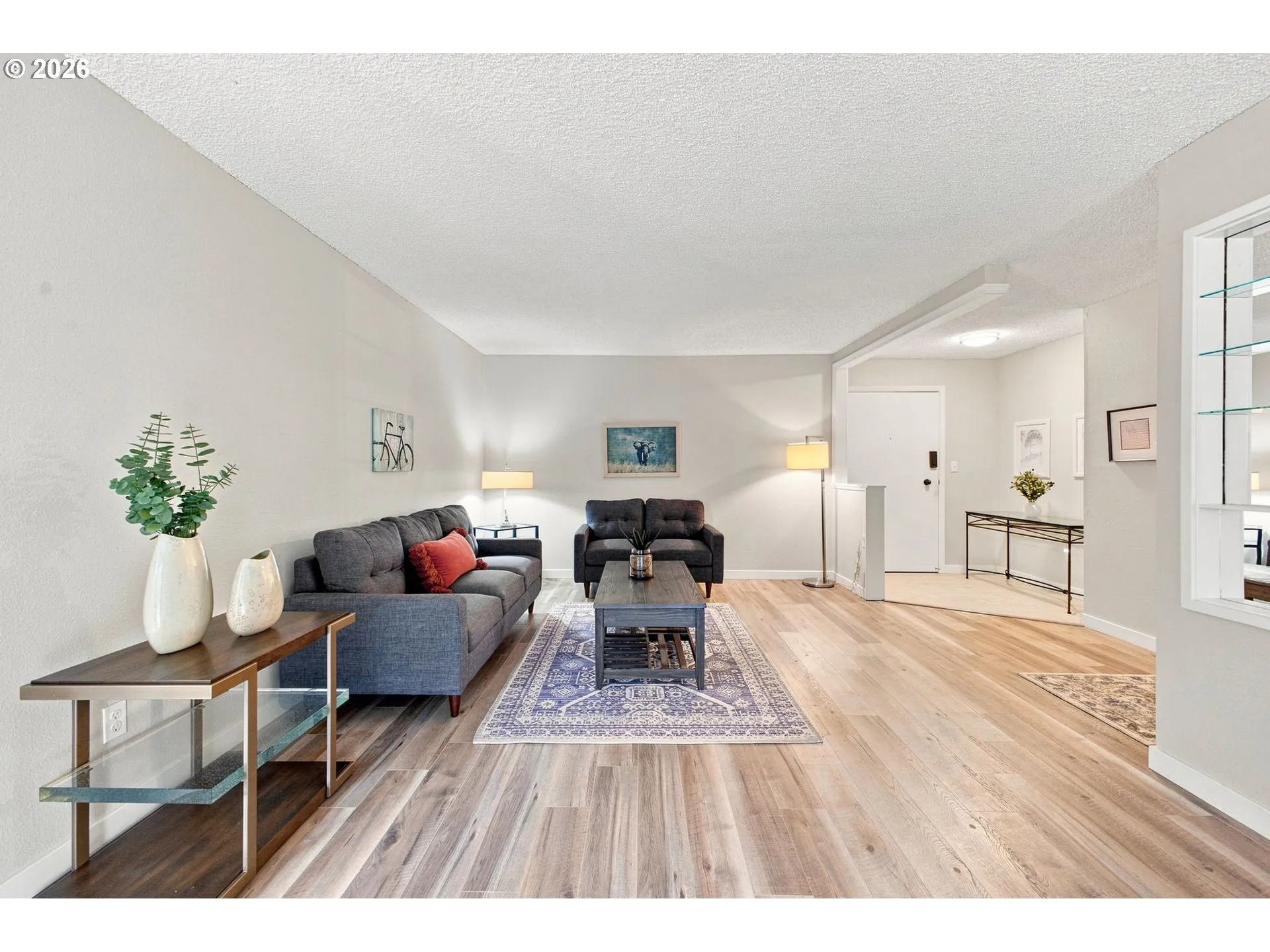 Living Room/Entrance