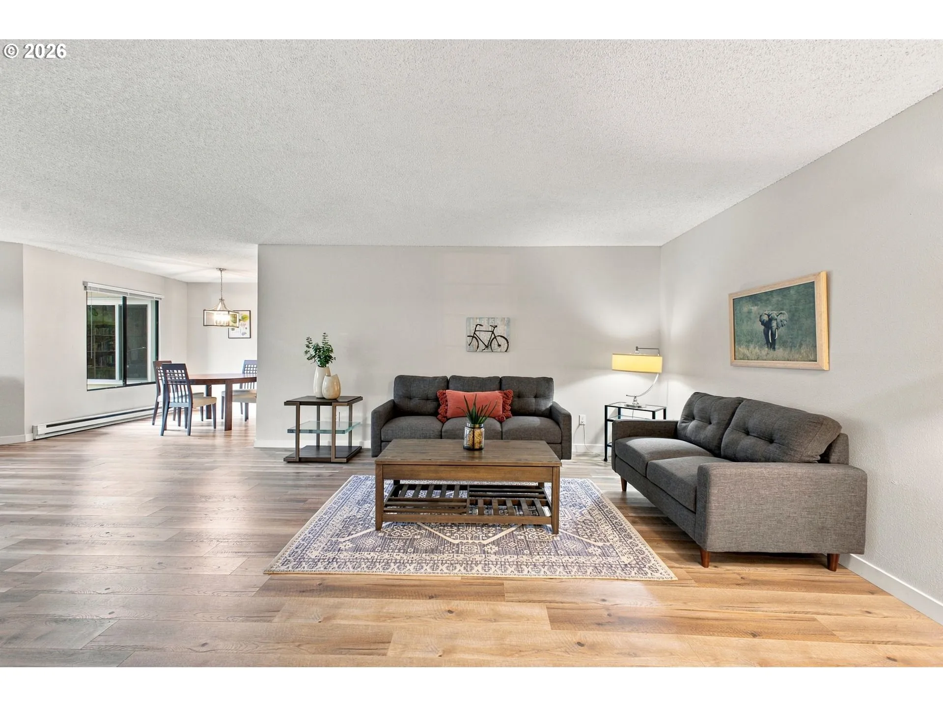 Living Room/Entrance