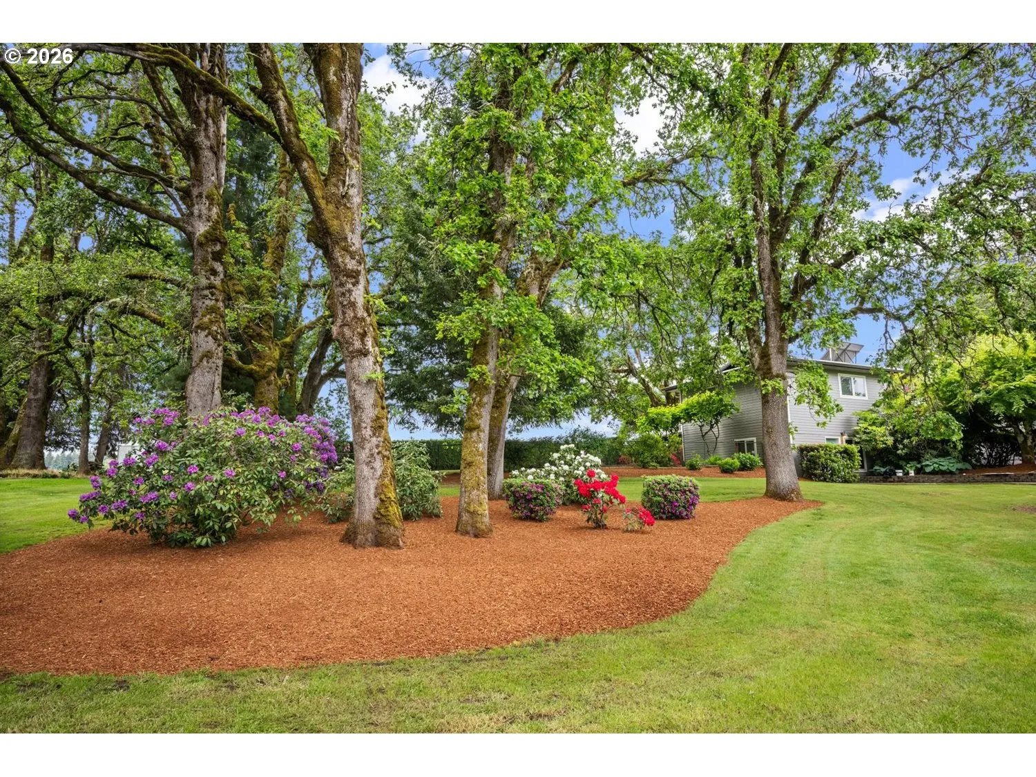 Front Yard-# 1