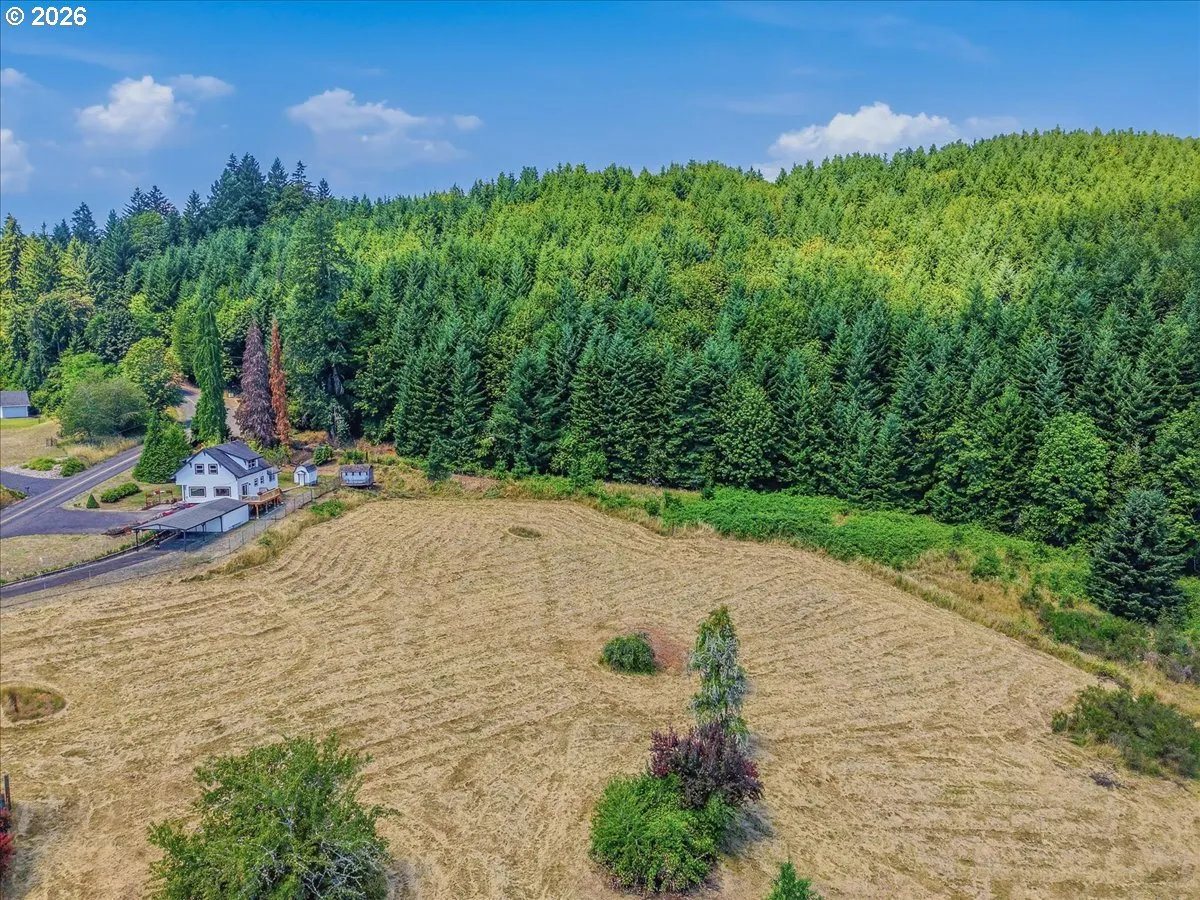 Pasture
