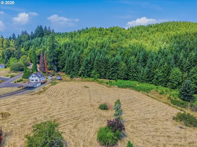 Pasture