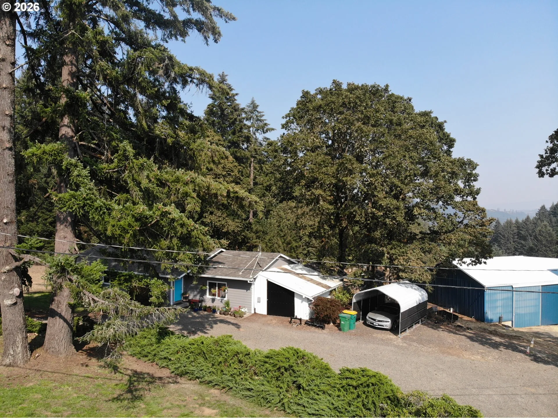 Front Yard